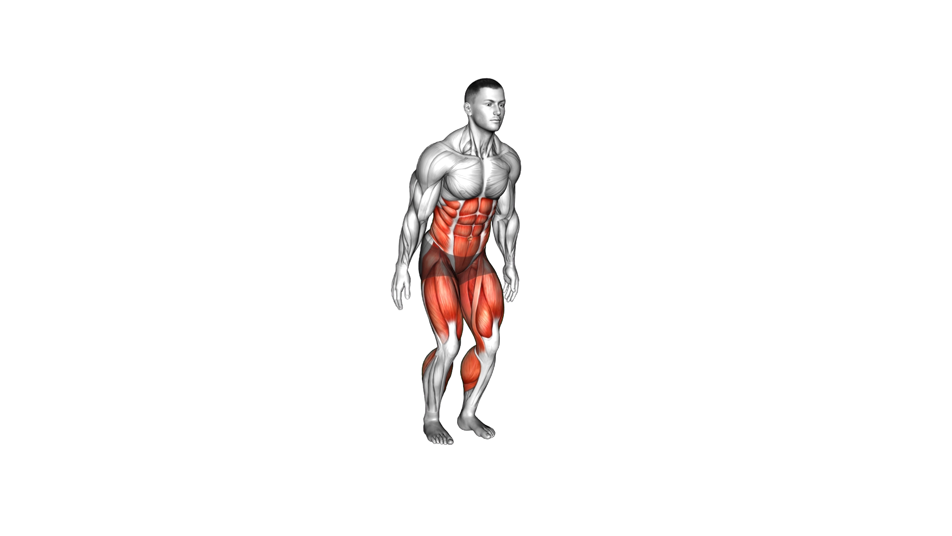 3 Point Standing Hops exercise demonstration