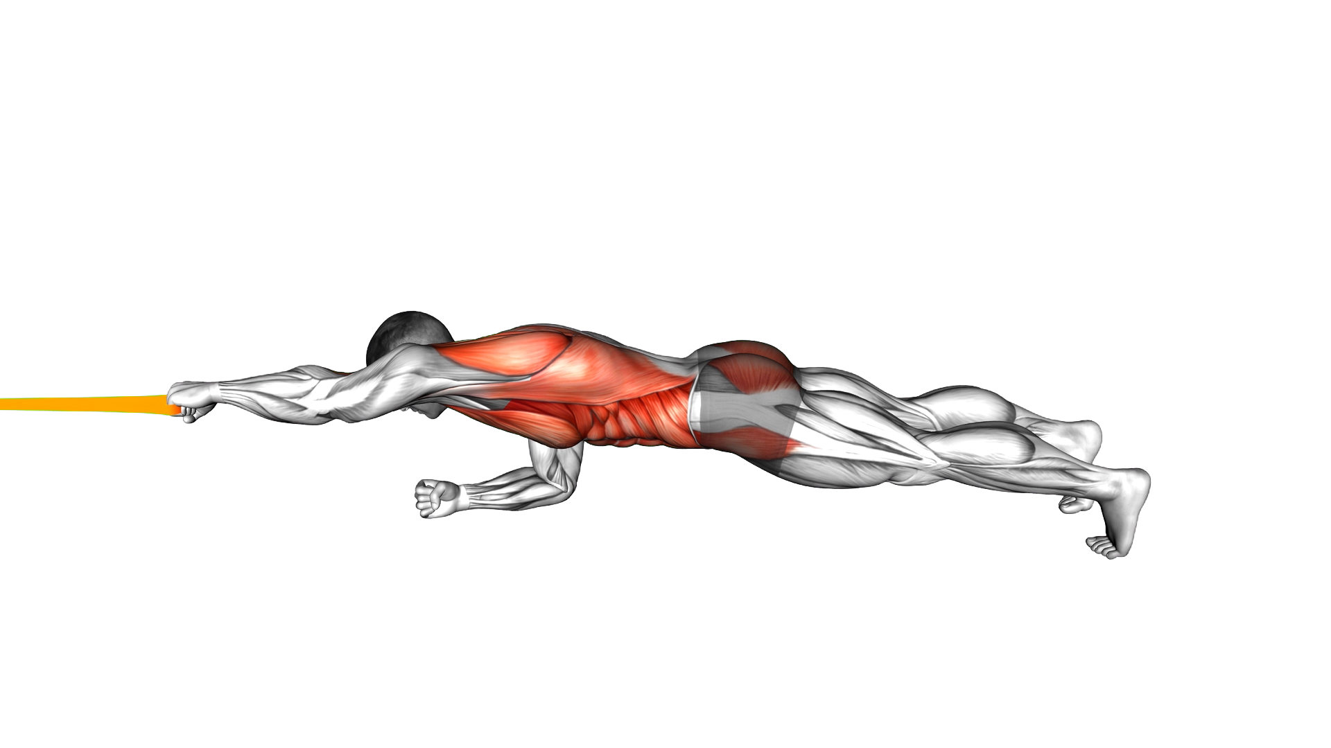 Resistance Band Elbow Plank with Single Arm Pulldo exercise demonstration