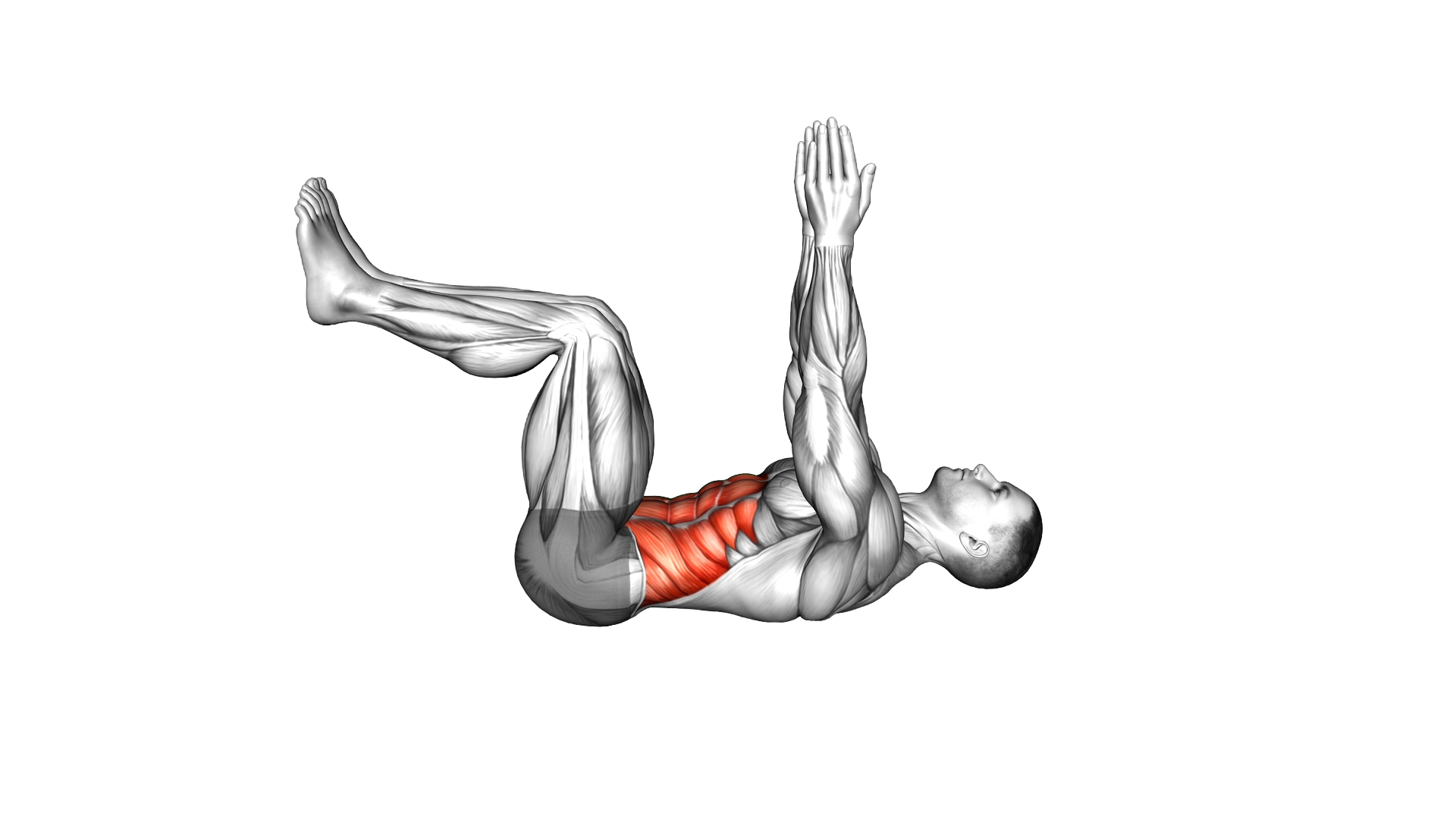 Hollow Body Tuck exercise demonstration