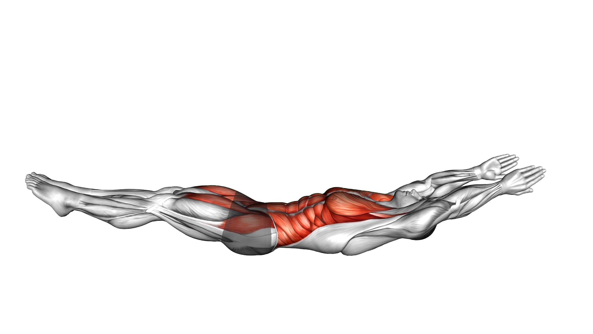 Hollow Body Hover exercise demonstration