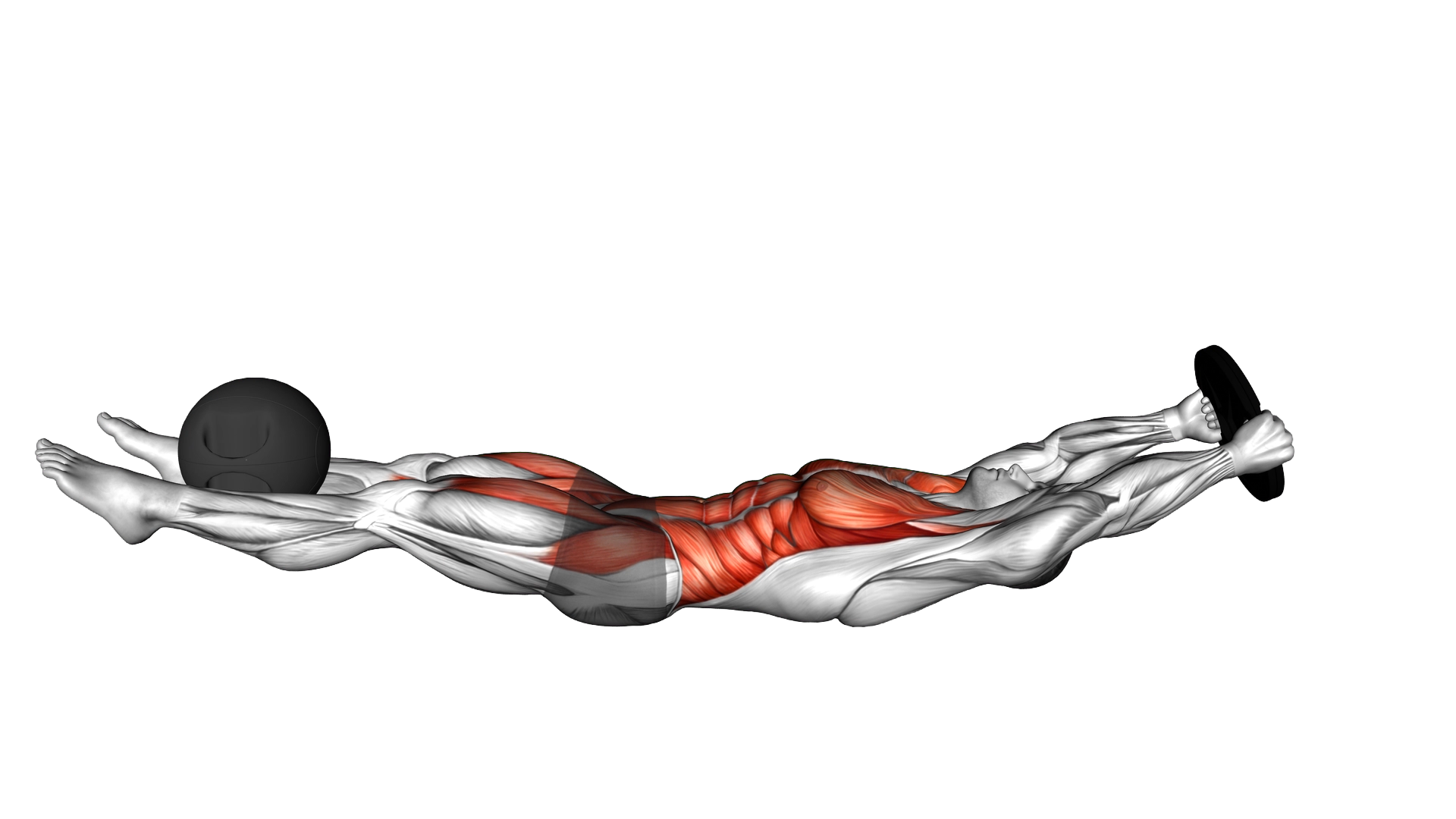 Weighted Hollow Body Hover exercise demonstration