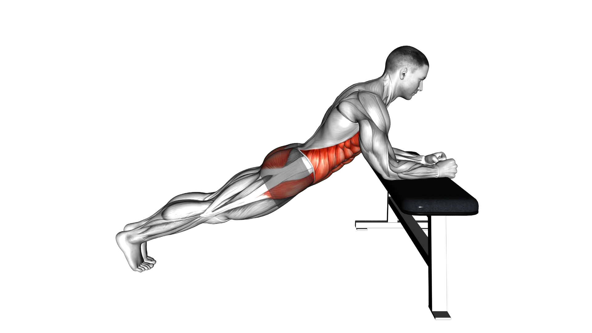 Incline Elbow Plank exercise demonstration