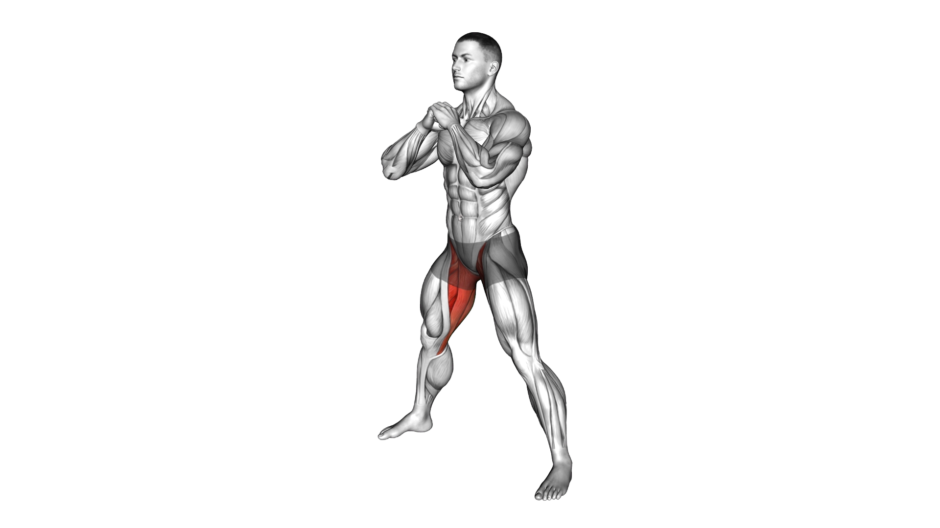 Adductors Stretch Sagittal Plane exercise demonstration