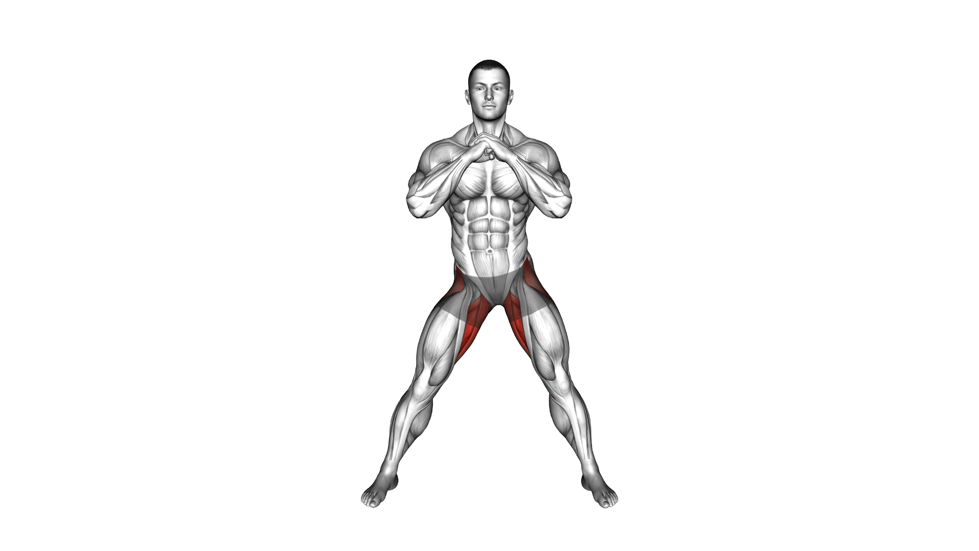 Adductors Stretch Coronal Plane exercise demonstration