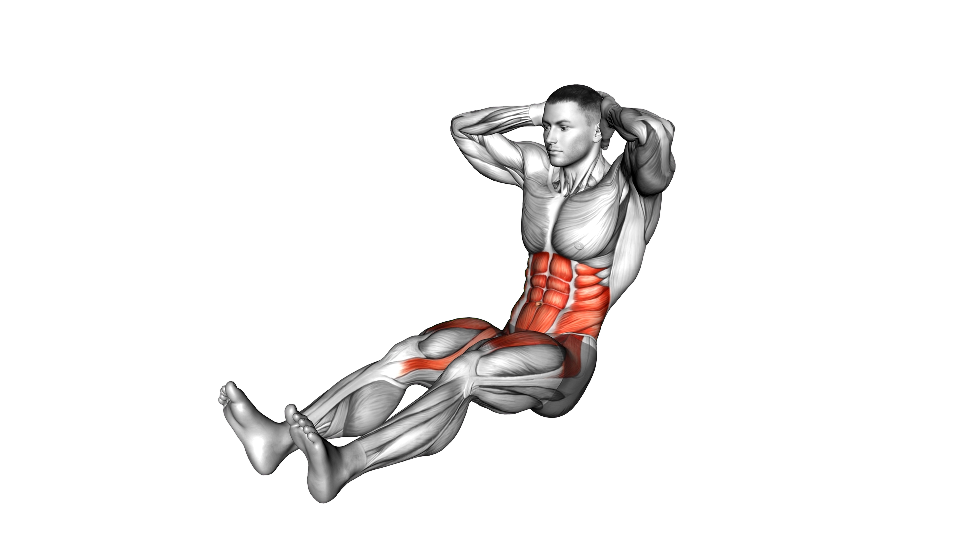 Sitting Alternate Knee to Elbow Twist exercise demonstration