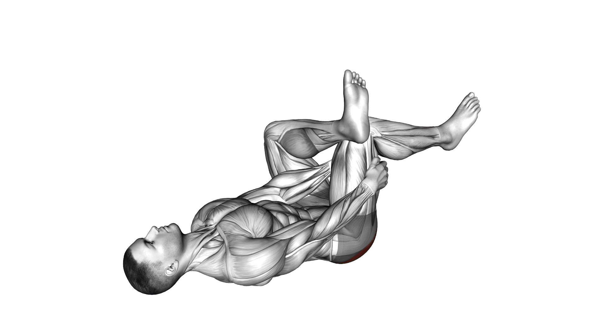 Lying Glute Stretch exercise demonstration