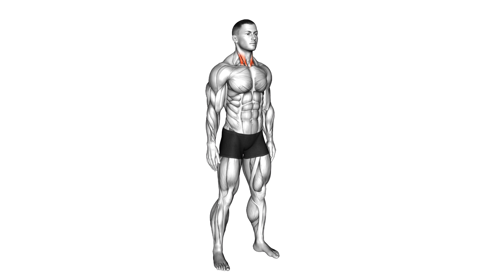 Backward Neck Stretch exercise demonstration