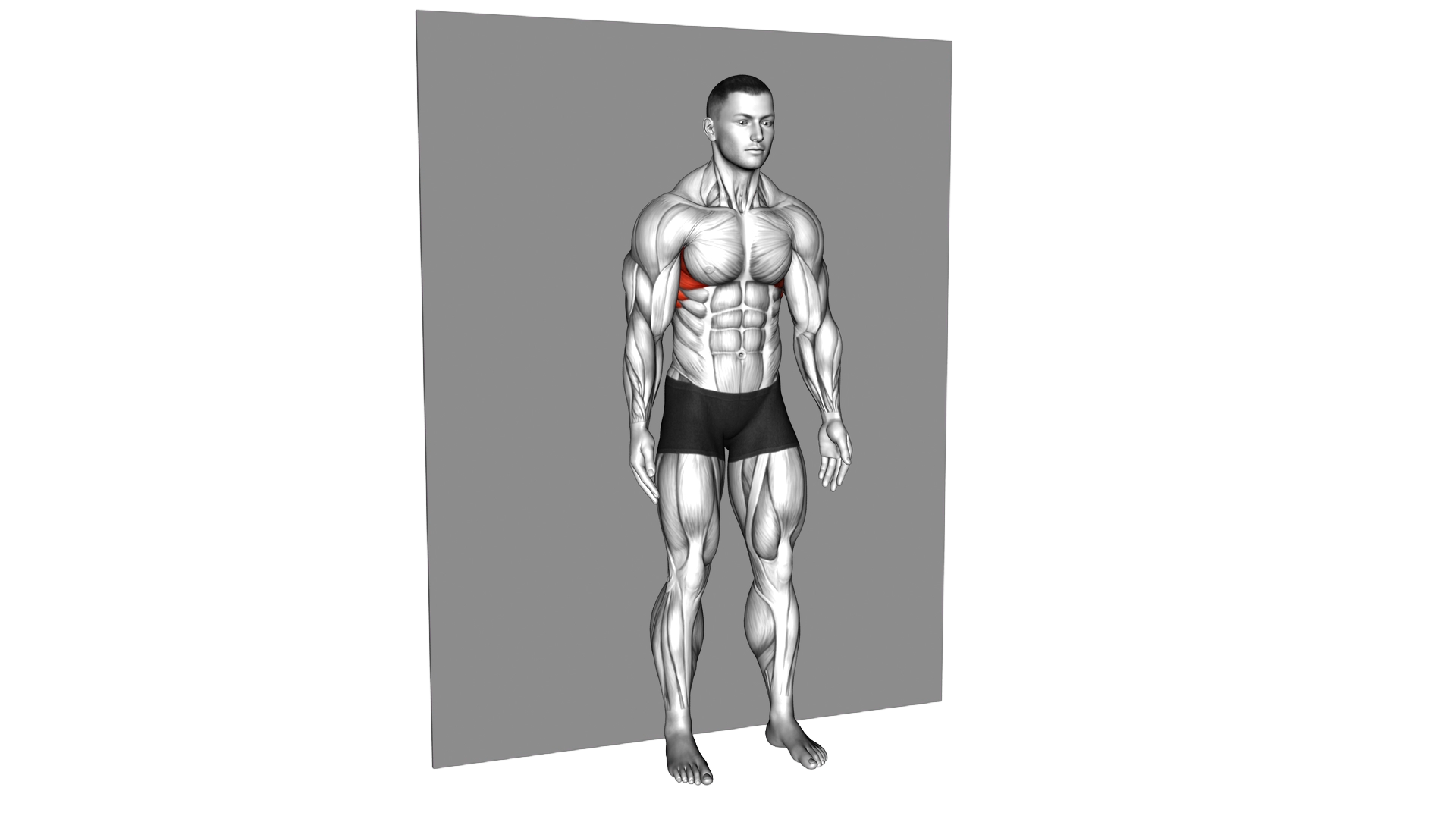 W Pose against Wall exercise demonstration