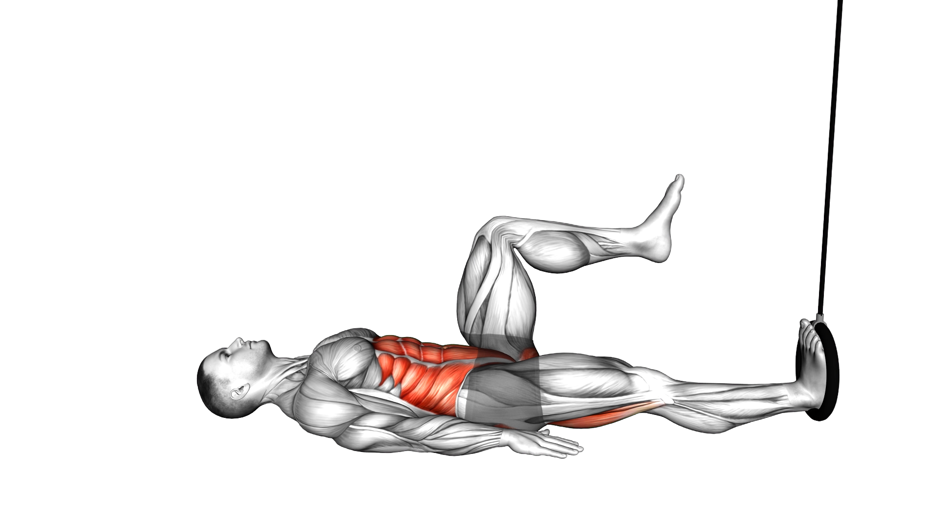 Ring Single Leg Curl exercise demonstration