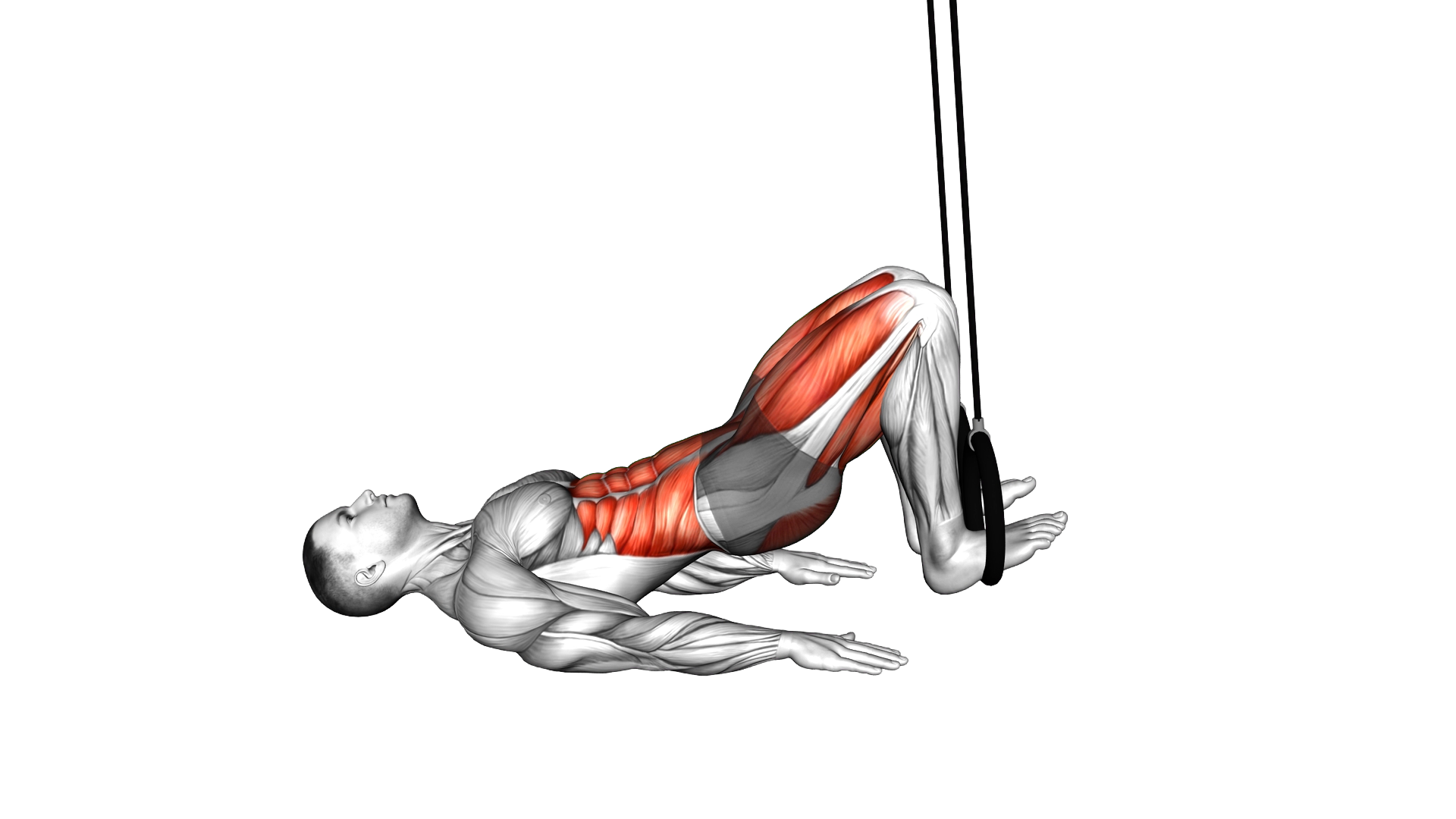 Ring Alternate Reverse Curl exercise demonstration