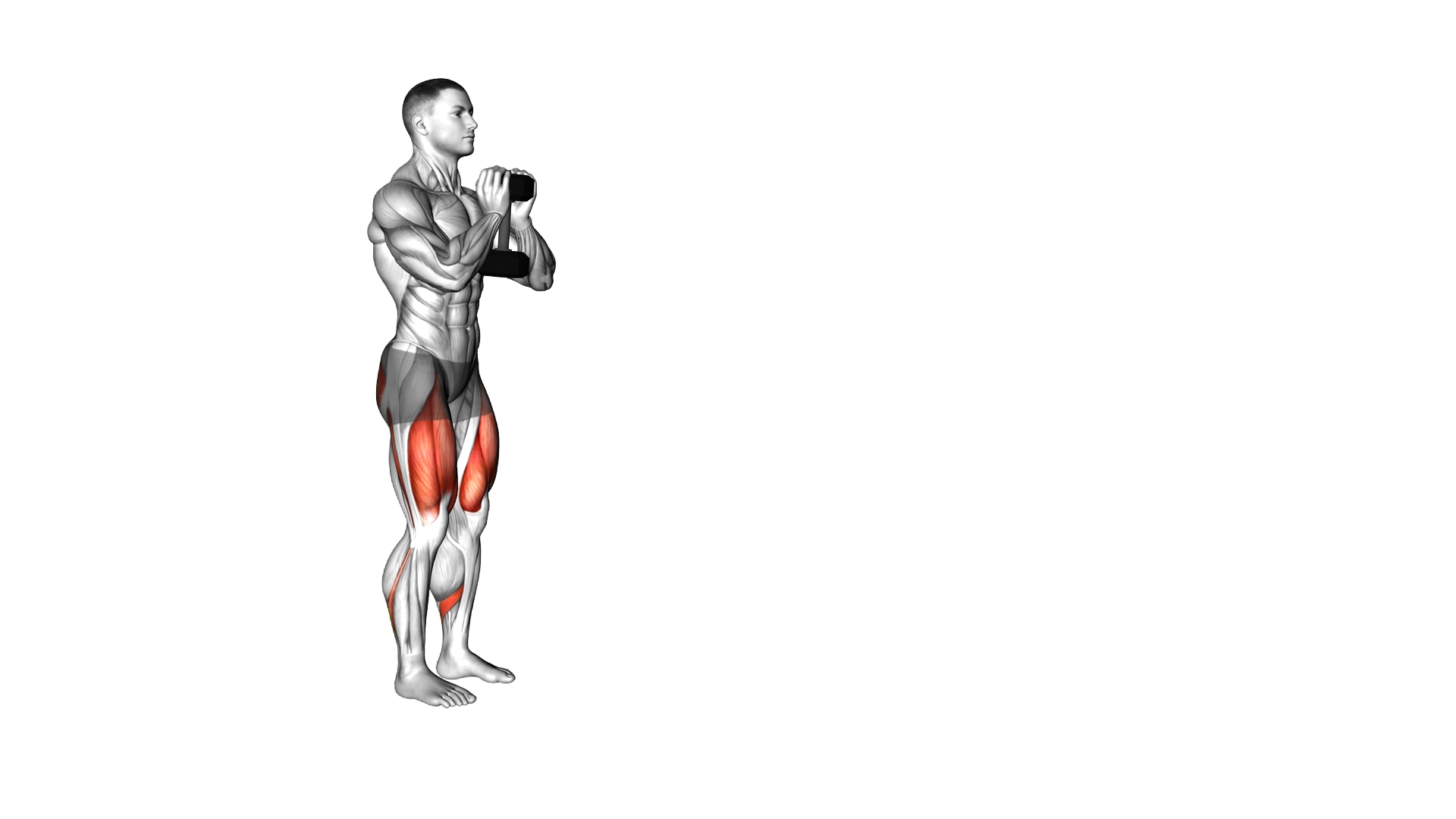 Dumbbell Goblet Walking Lunge exercise demonstration