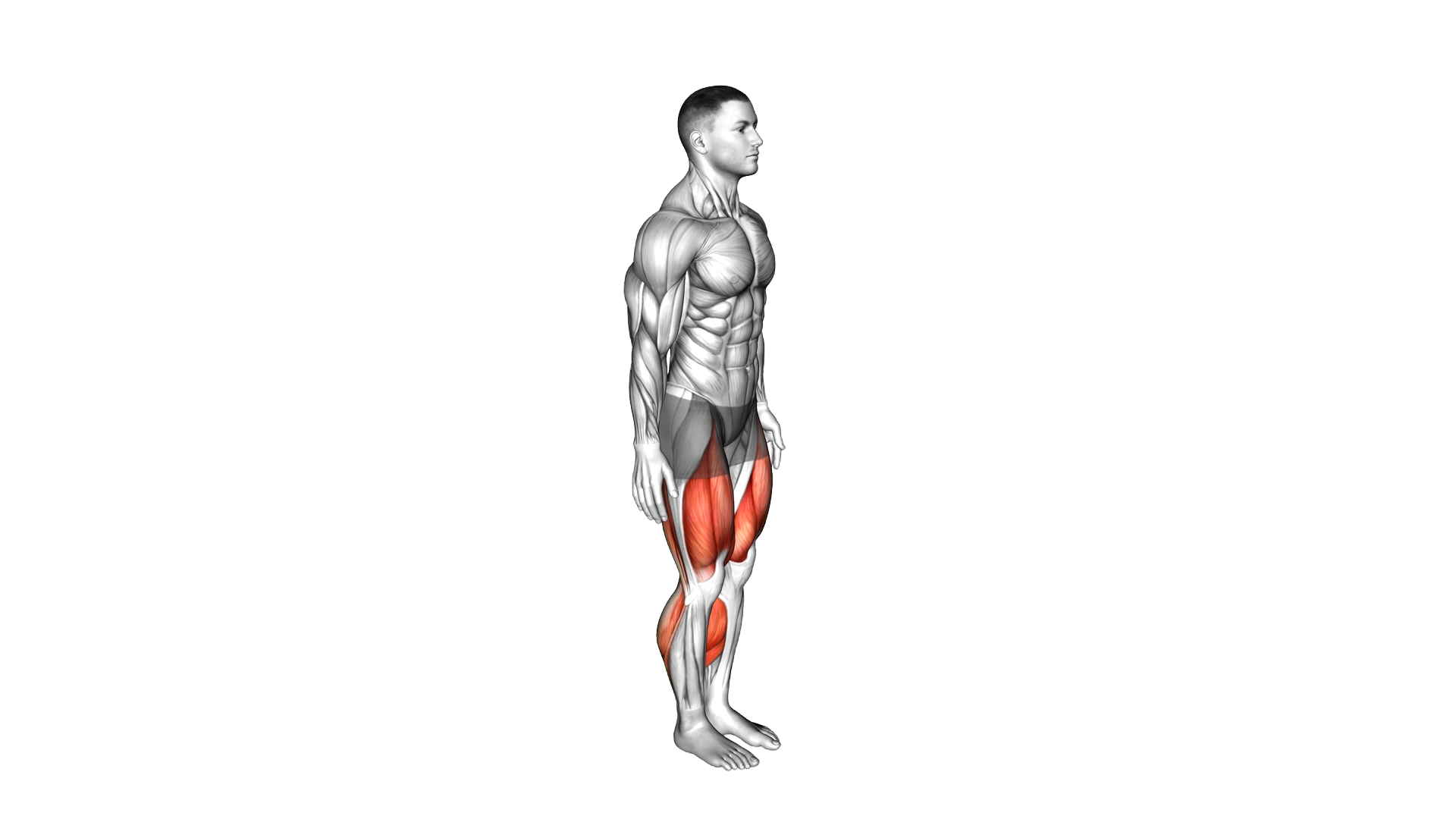 Squat and Tip Toes exercise demonstration