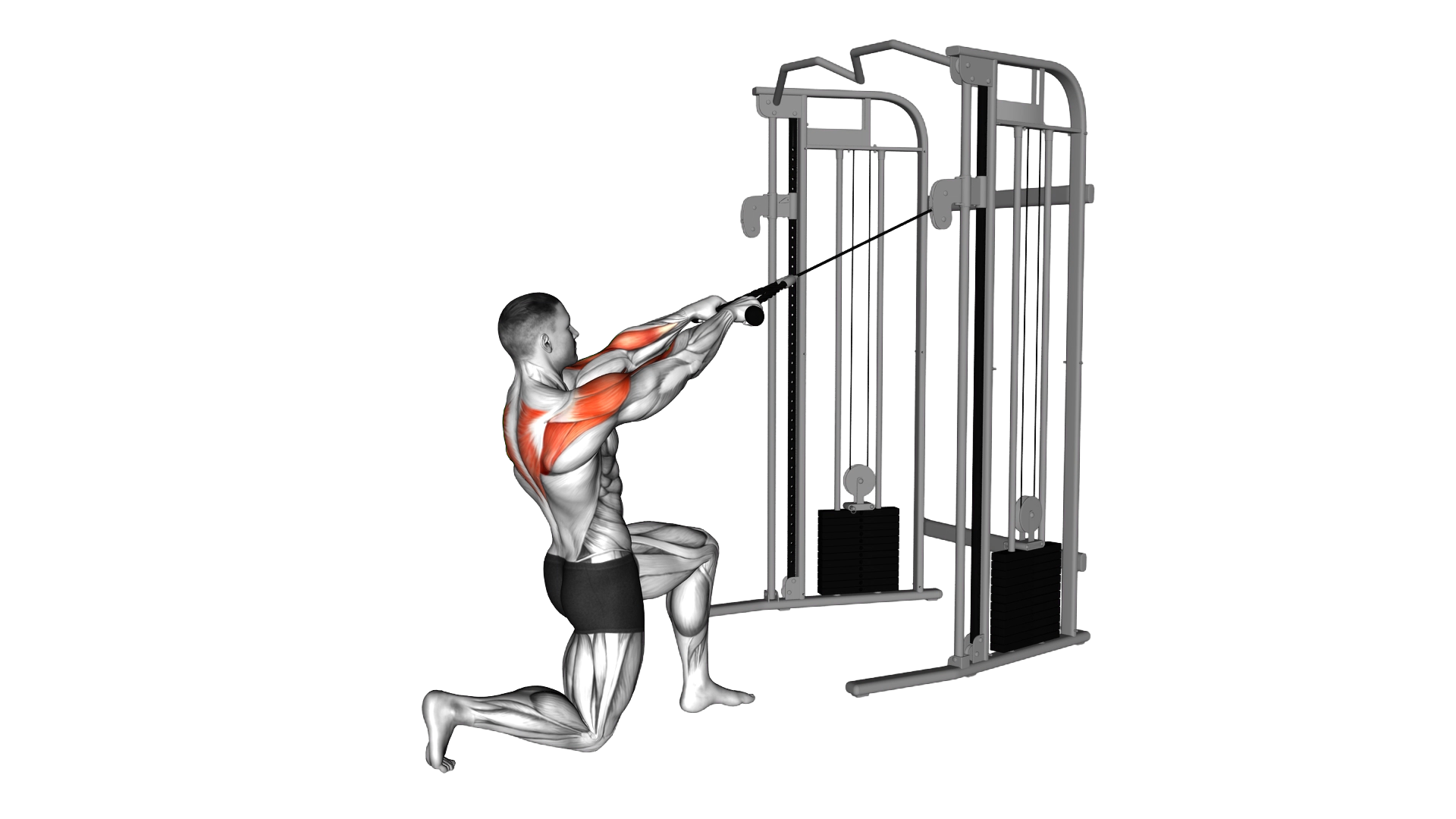 Cable Half Kneeling Face Pull exercise demonstration