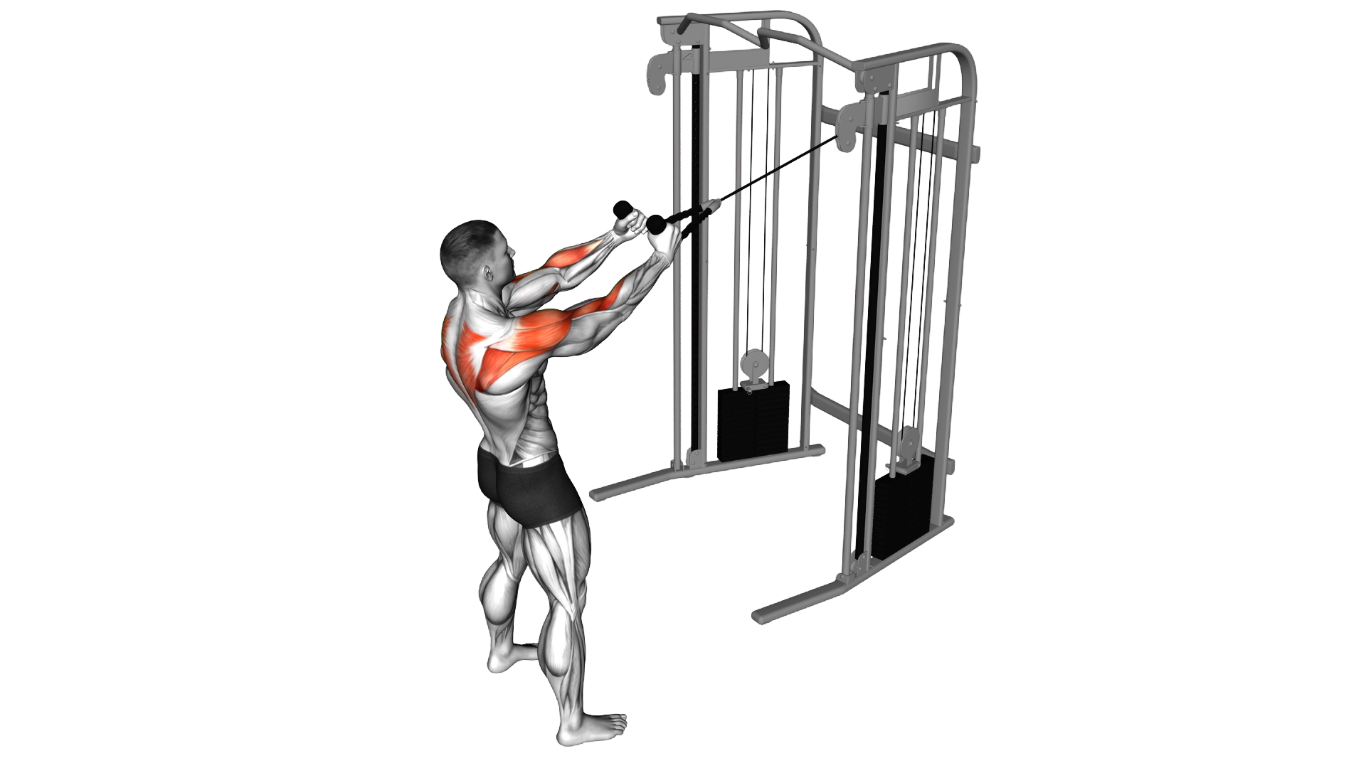 Cable Standing Supinated Face Pull (with rope) exercise demonstration