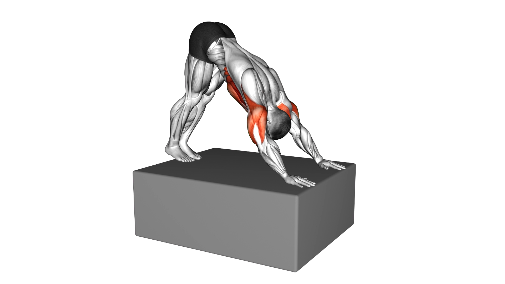 Pike Push up from deficit exercise demonstration