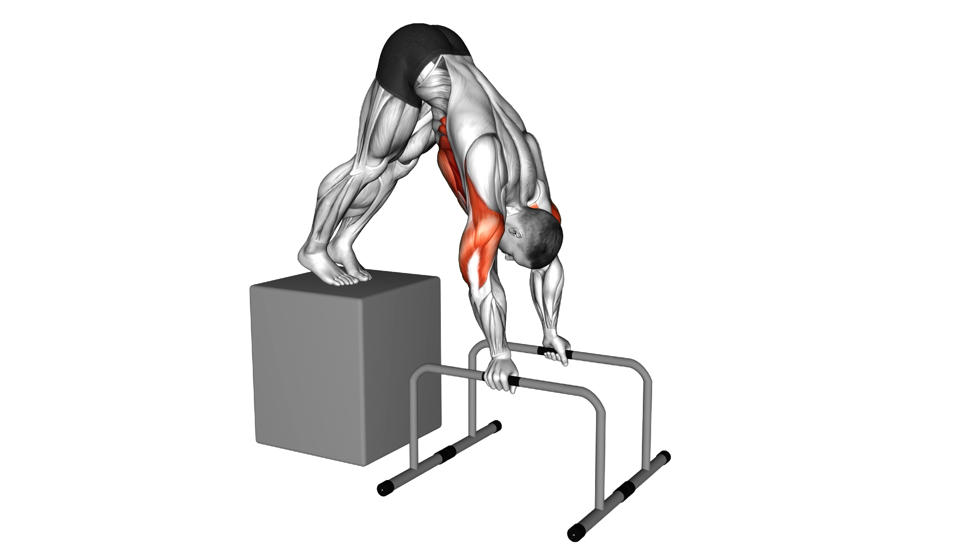 Elevanted Pike Push up from deficit with parallett exercise demonstration