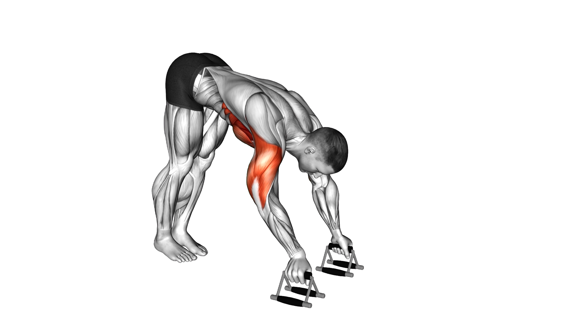 Pike Push up with parallettes exercise demonstration