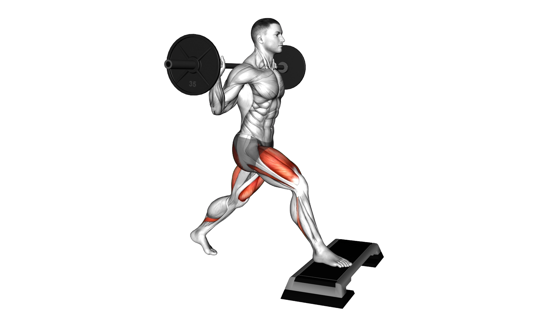 Barbell Split Squat Front Foot Elevanted exercise demonstration