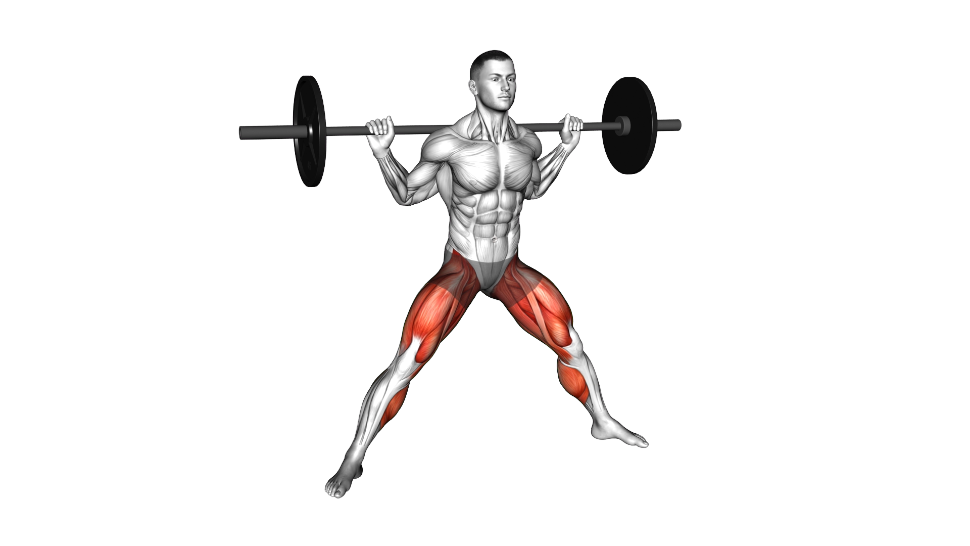 Barbell Cossack Squat exercise demonstration