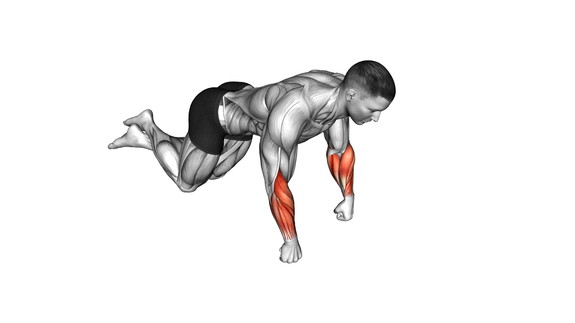Kneeling Fist to Palm Switch exercise demonstration
