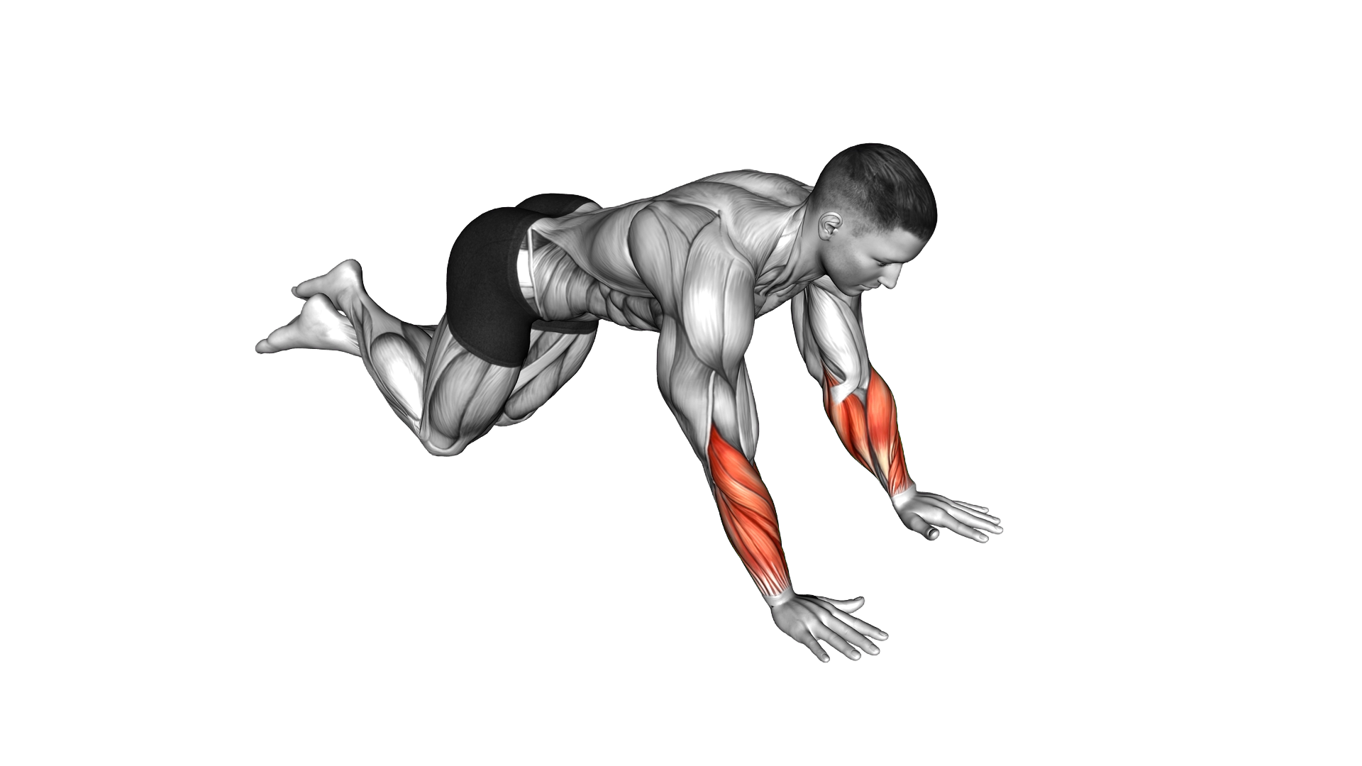 Kneeling Wrist Sinkers exercise demonstration