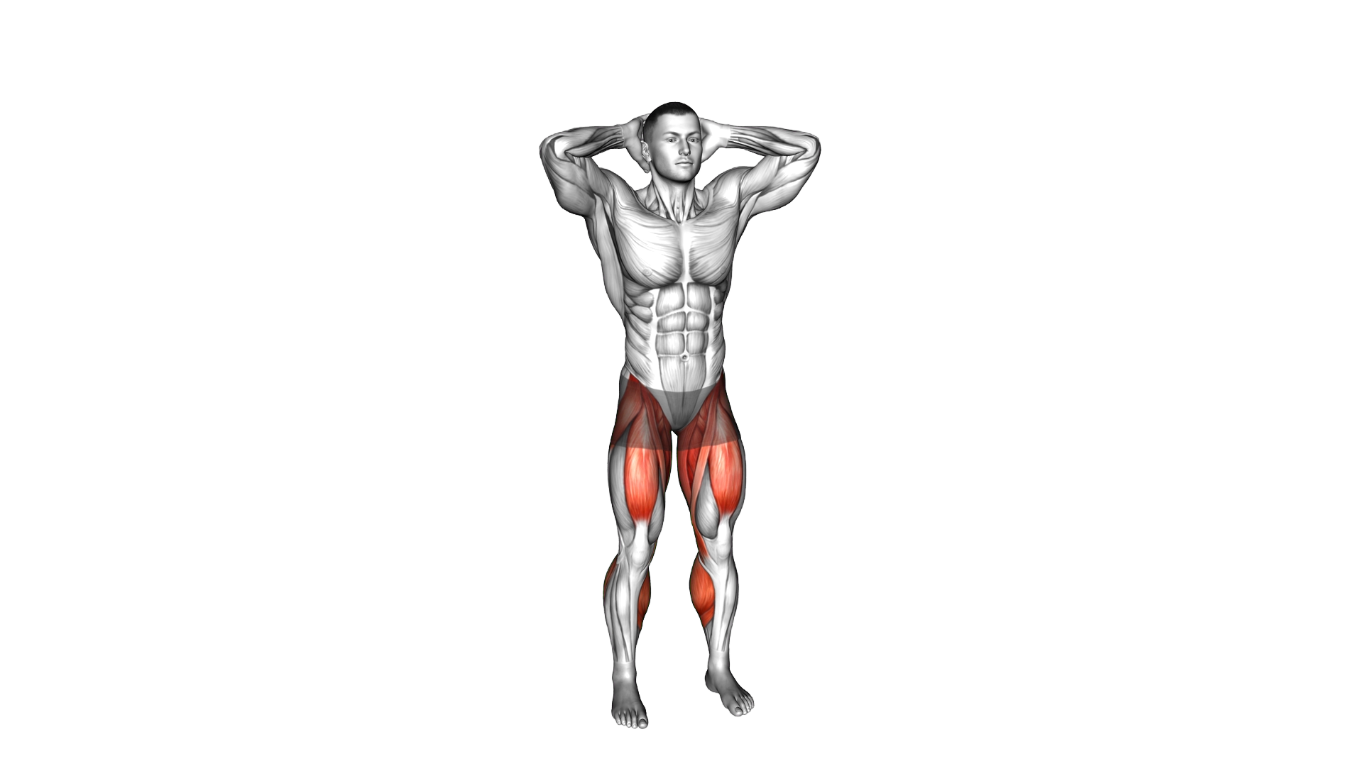 Half Jumping Jack exercise demonstration