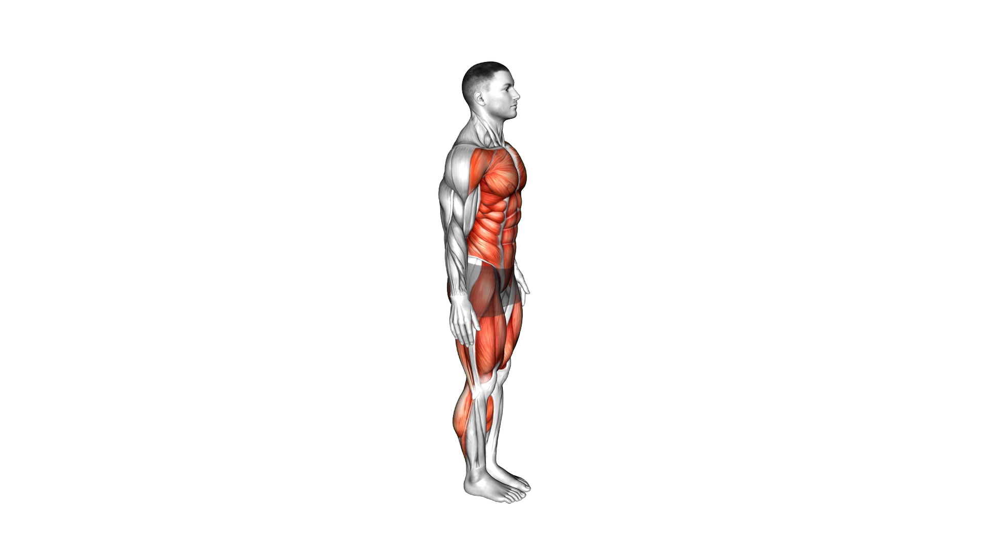Jog and Drop exercise demonstration
