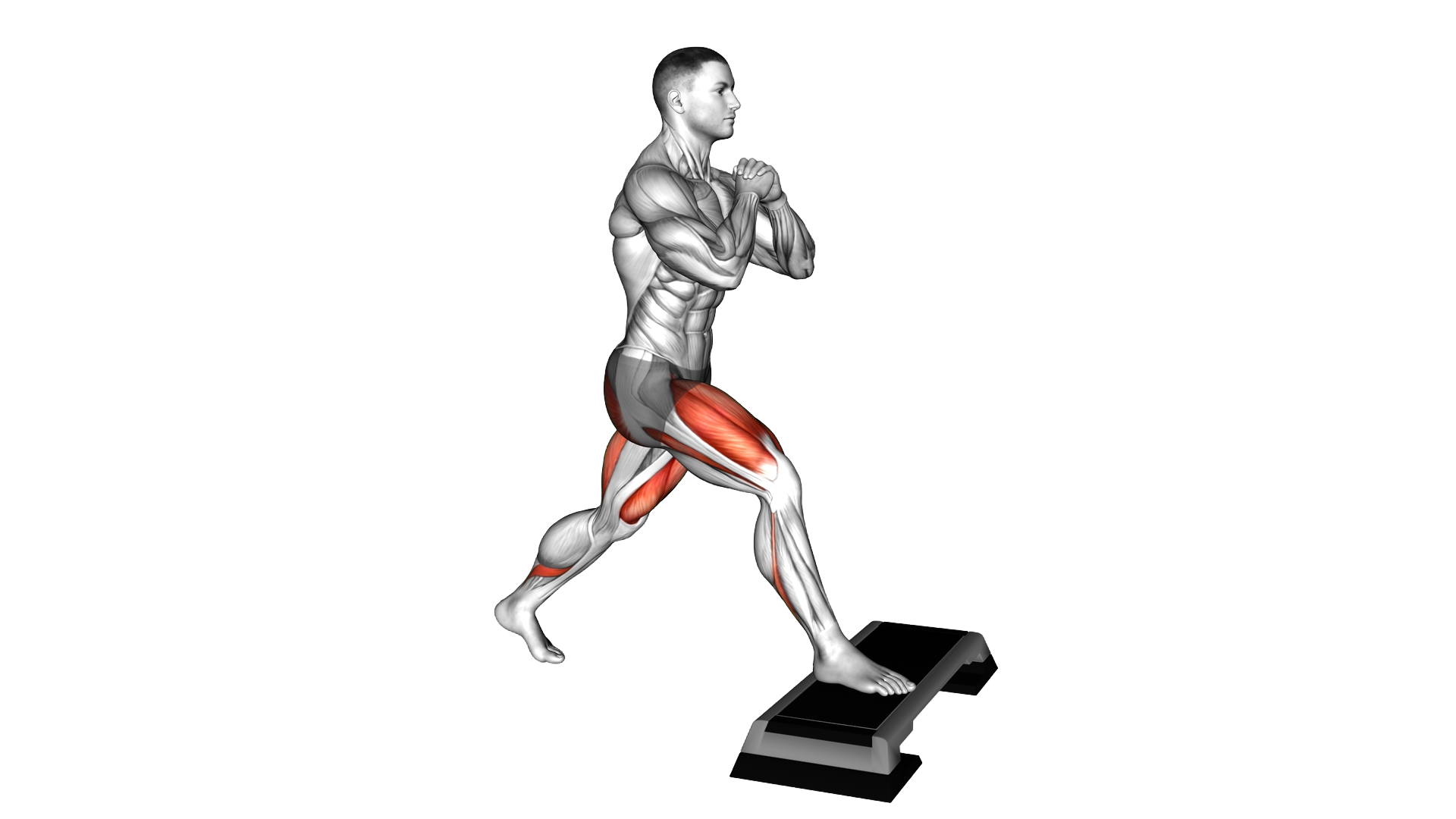 Bodyweight Split Squat Front Foot Elevanted exercise demonstration