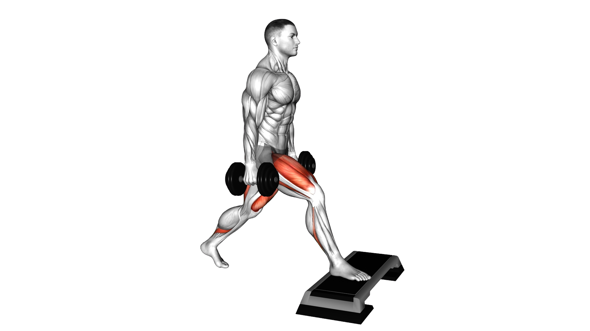Dumbbell Split Squat Front Foot Elevanted exercise demonstration