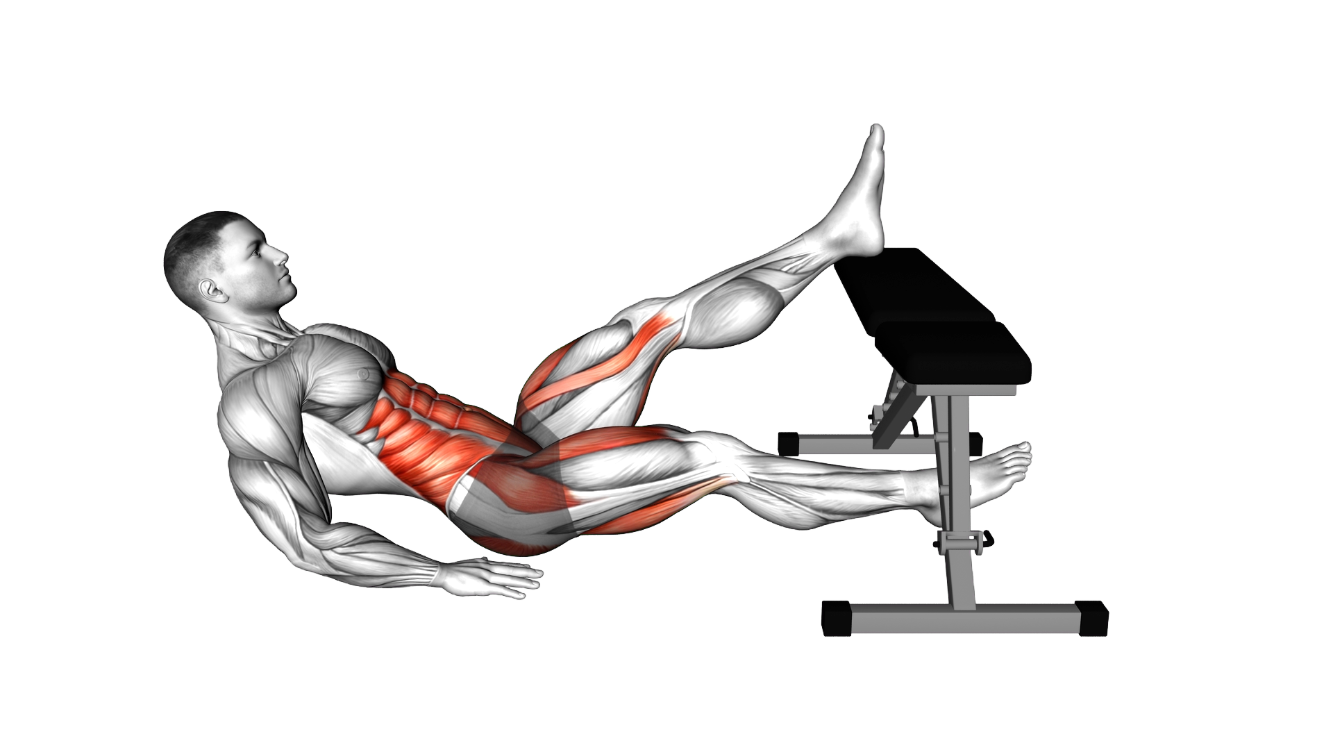 Seated Alternate In Out Leg Raise over Bench exercise demonstration