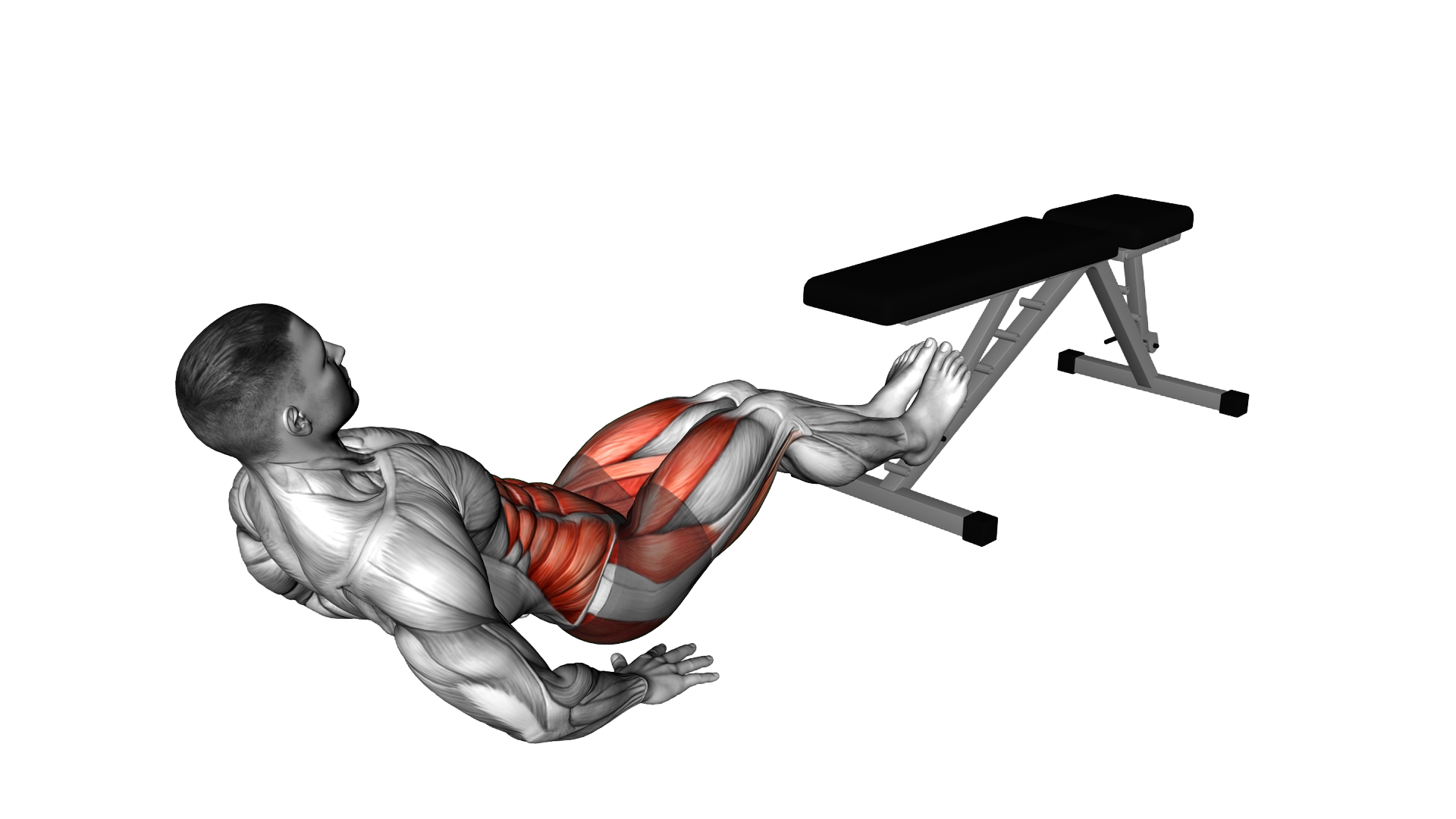 Seated Legs Circle over Bench exercise demonstration