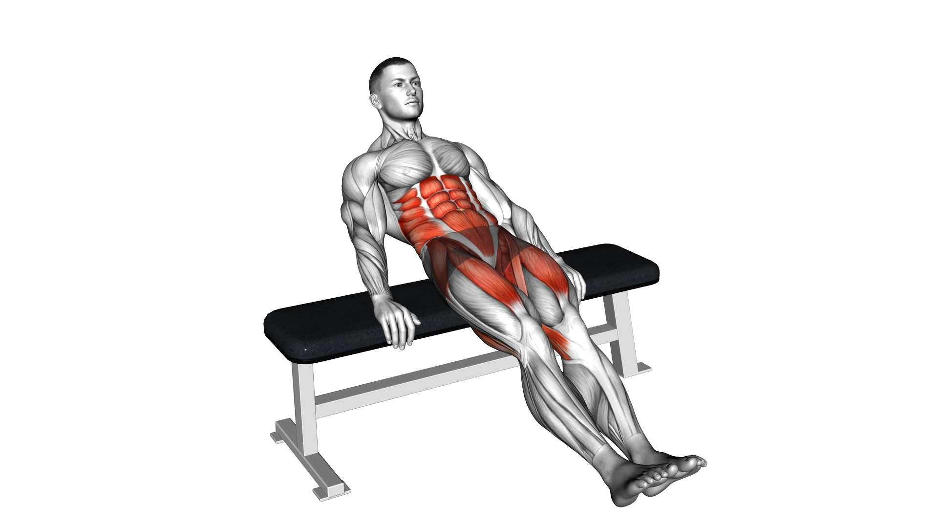 Seated Diagonal Knee Raise on Bench exercise demonstration