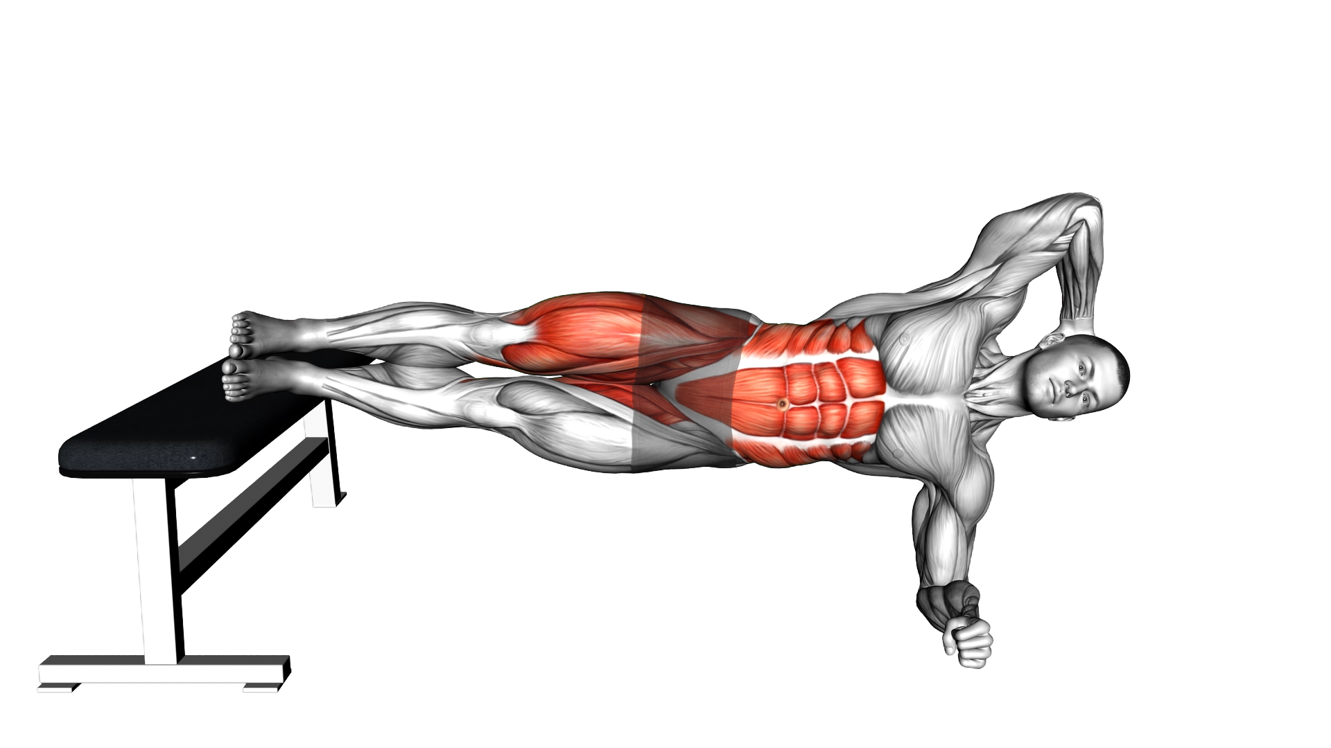 Elbow To Knee Decline Side Plank exercise demonstration
