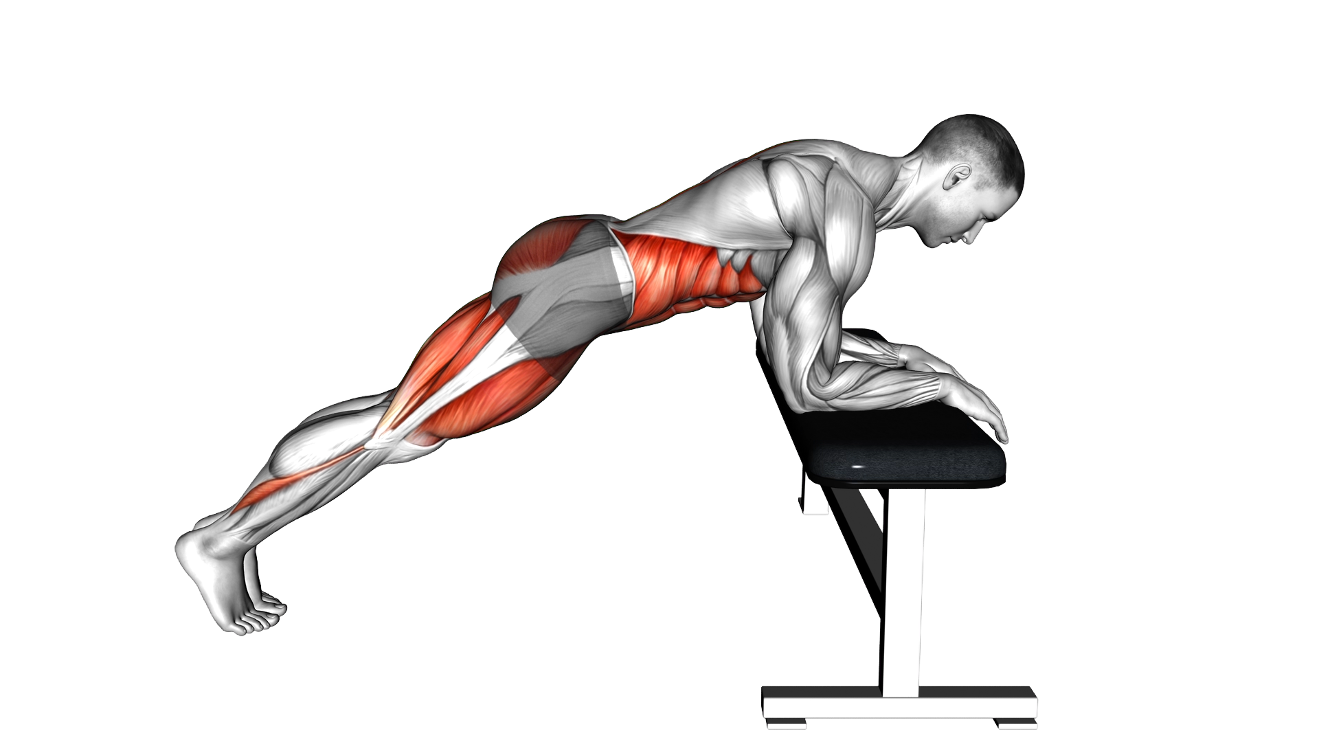 Mountain Climber over Bench exercise demonstration
