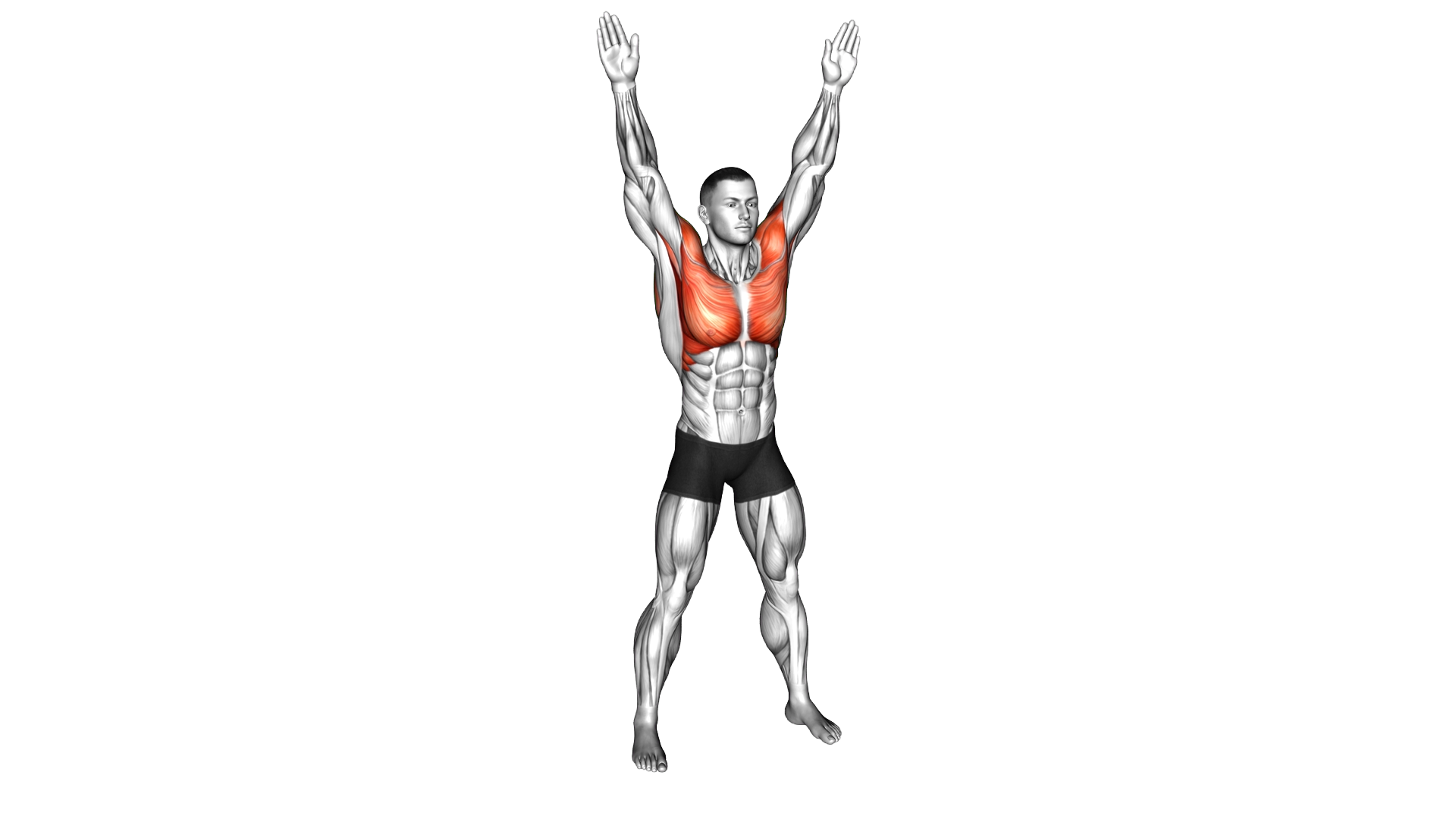 Criss Cross Arms Outer Rotation exercise demonstration