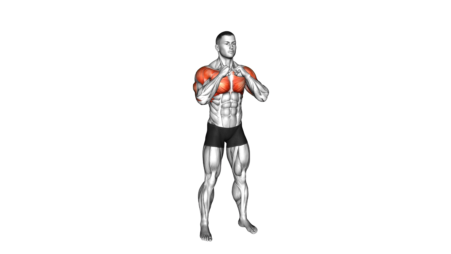 Standing Top to Forward Punches exercise demonstration