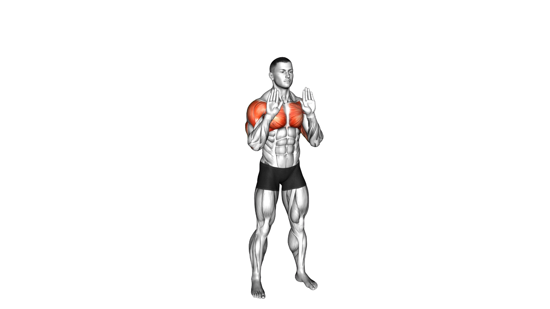 Forward Side Top Presses exercise demonstration