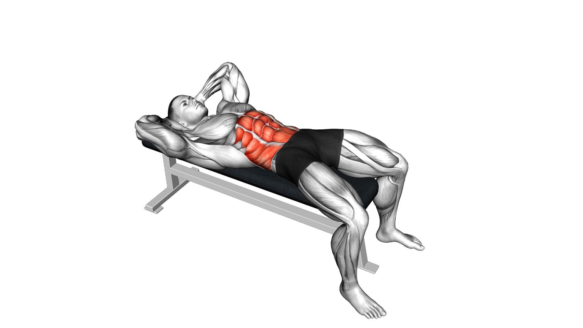 Crunch on a Bench exercise demonstration