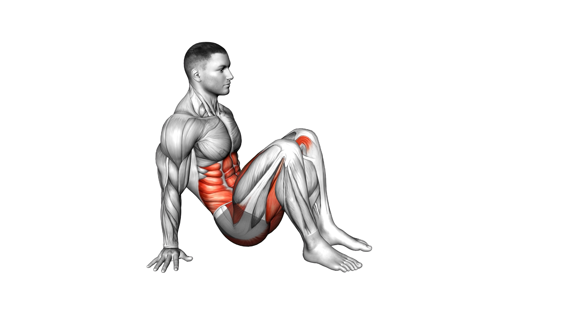 L Sit Kick Out exercise demonstration