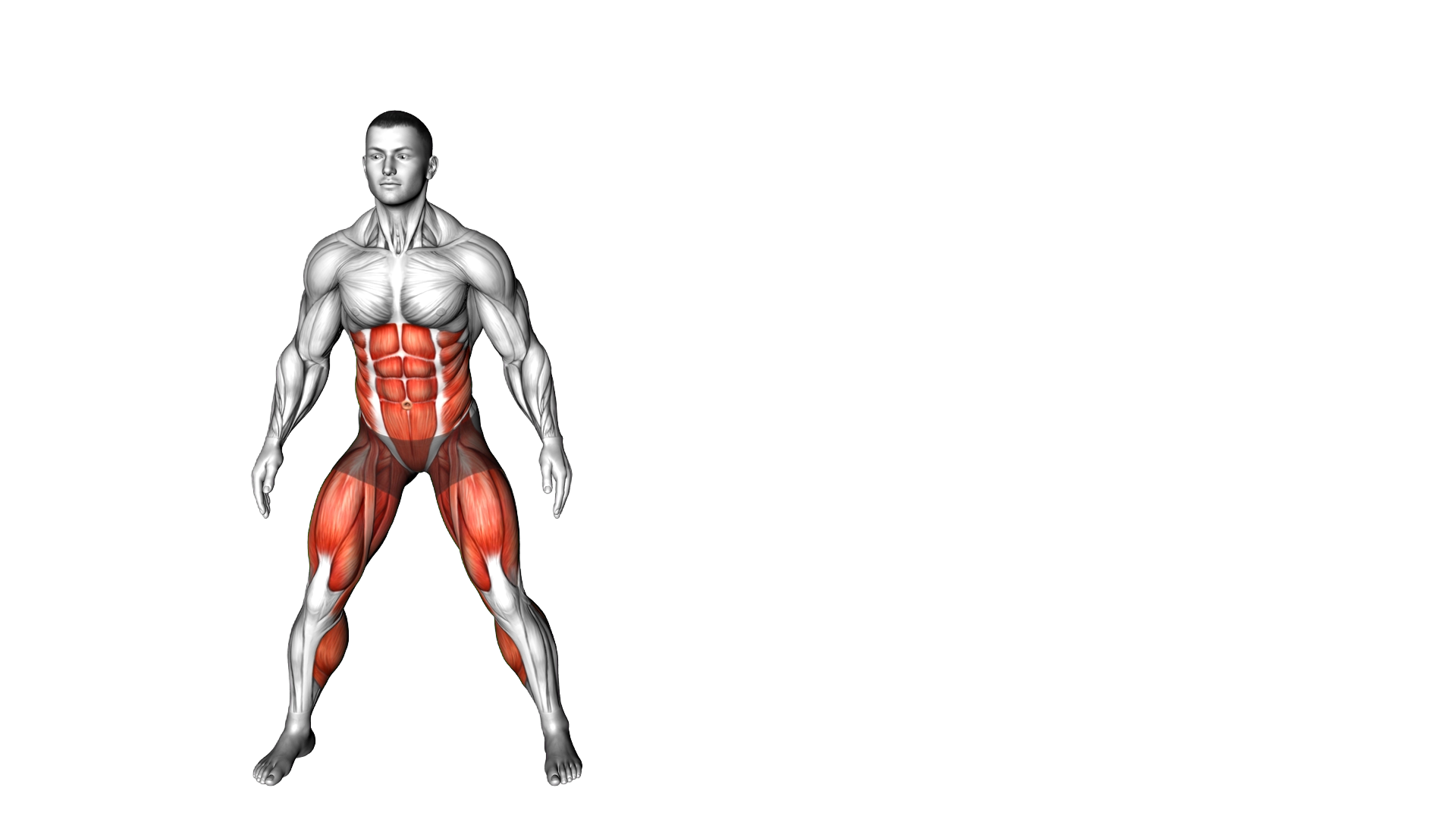 Lateral Shuffle Crunches exercise demonstration