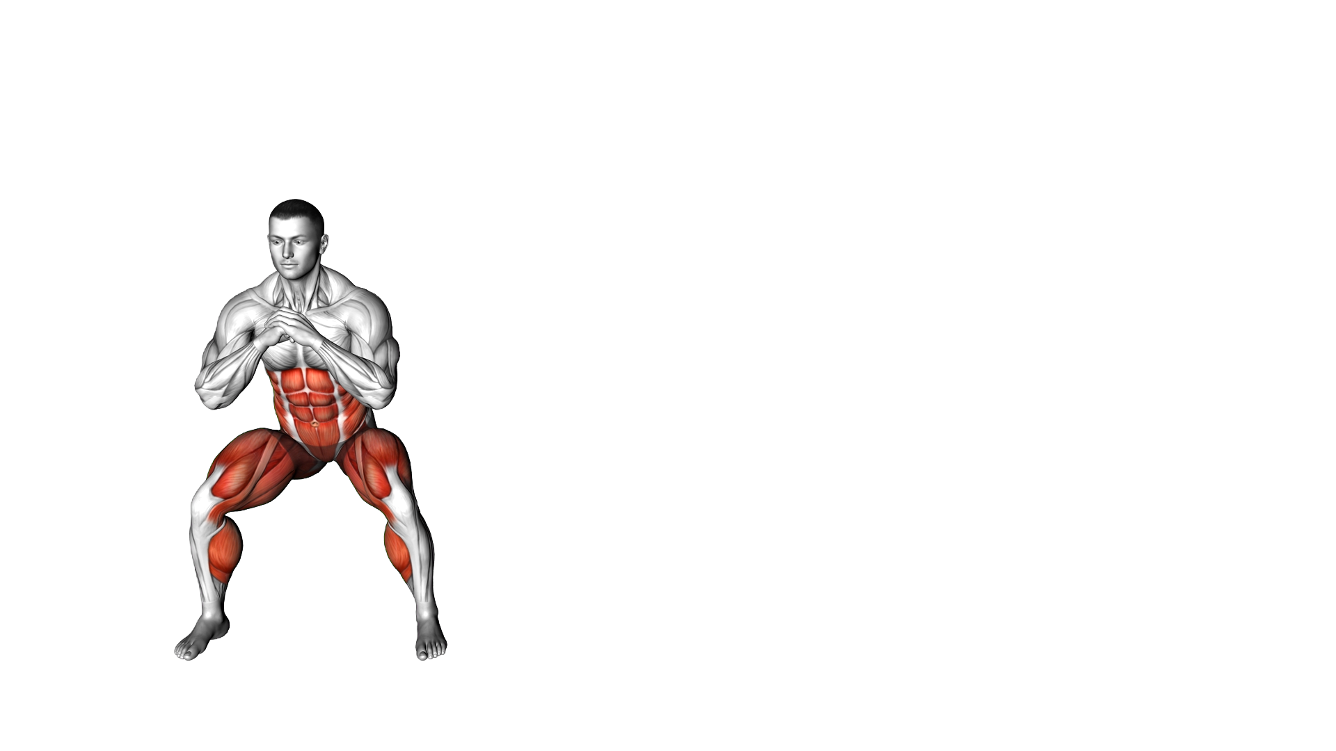 Side Shuffle Obliques Twist exercise demonstration