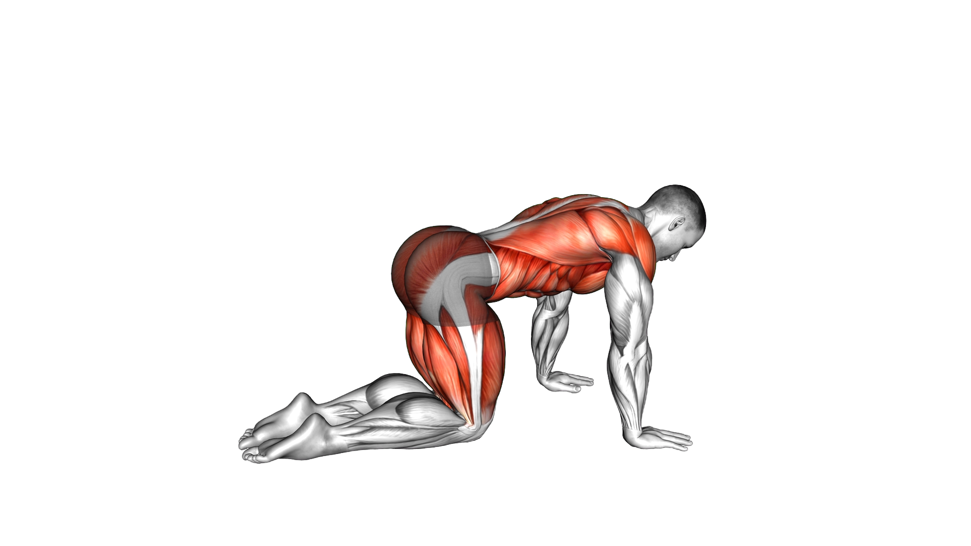 Tabletop Reach and Crunch exercise demonstration