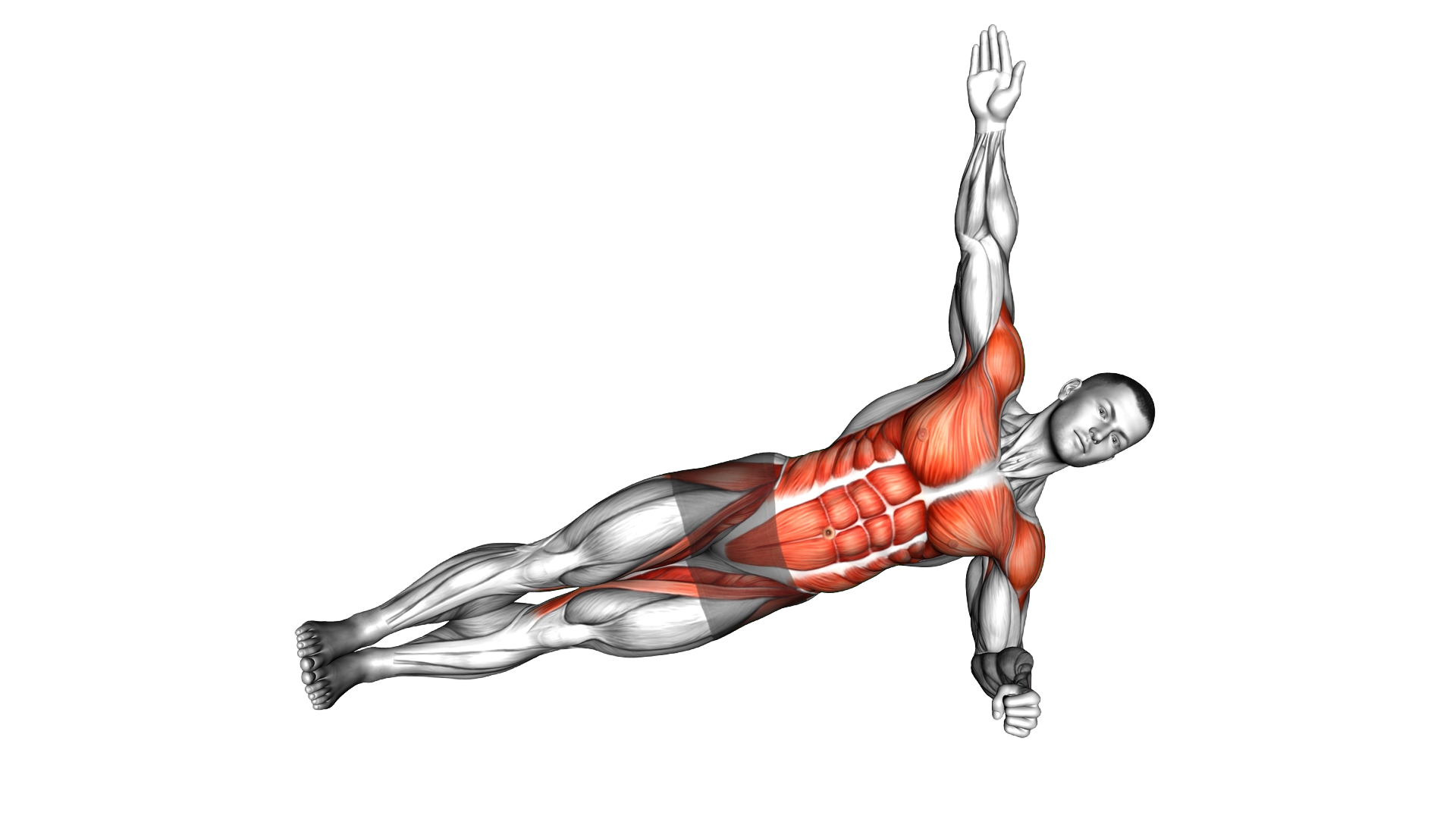 Side Plank Twist Arm Delt Raise exercise demonstration