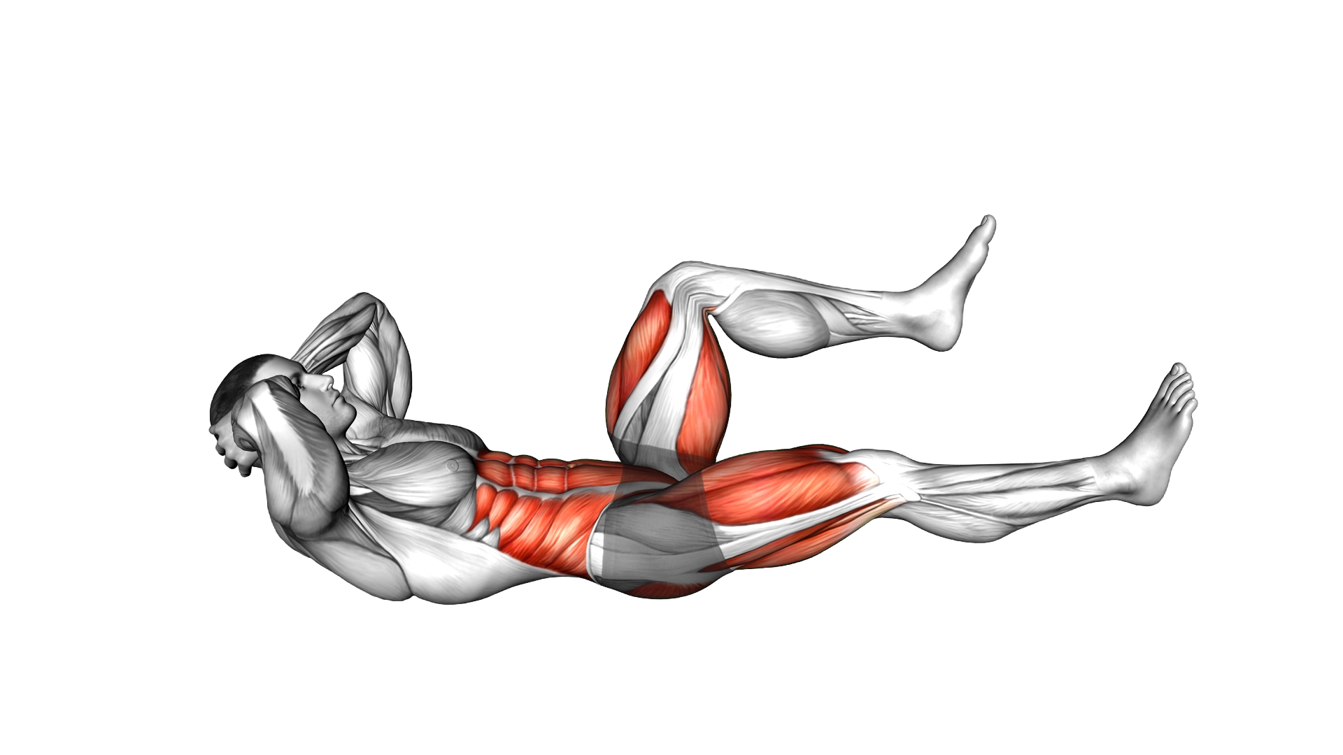 Bicycle V up exercise demonstration