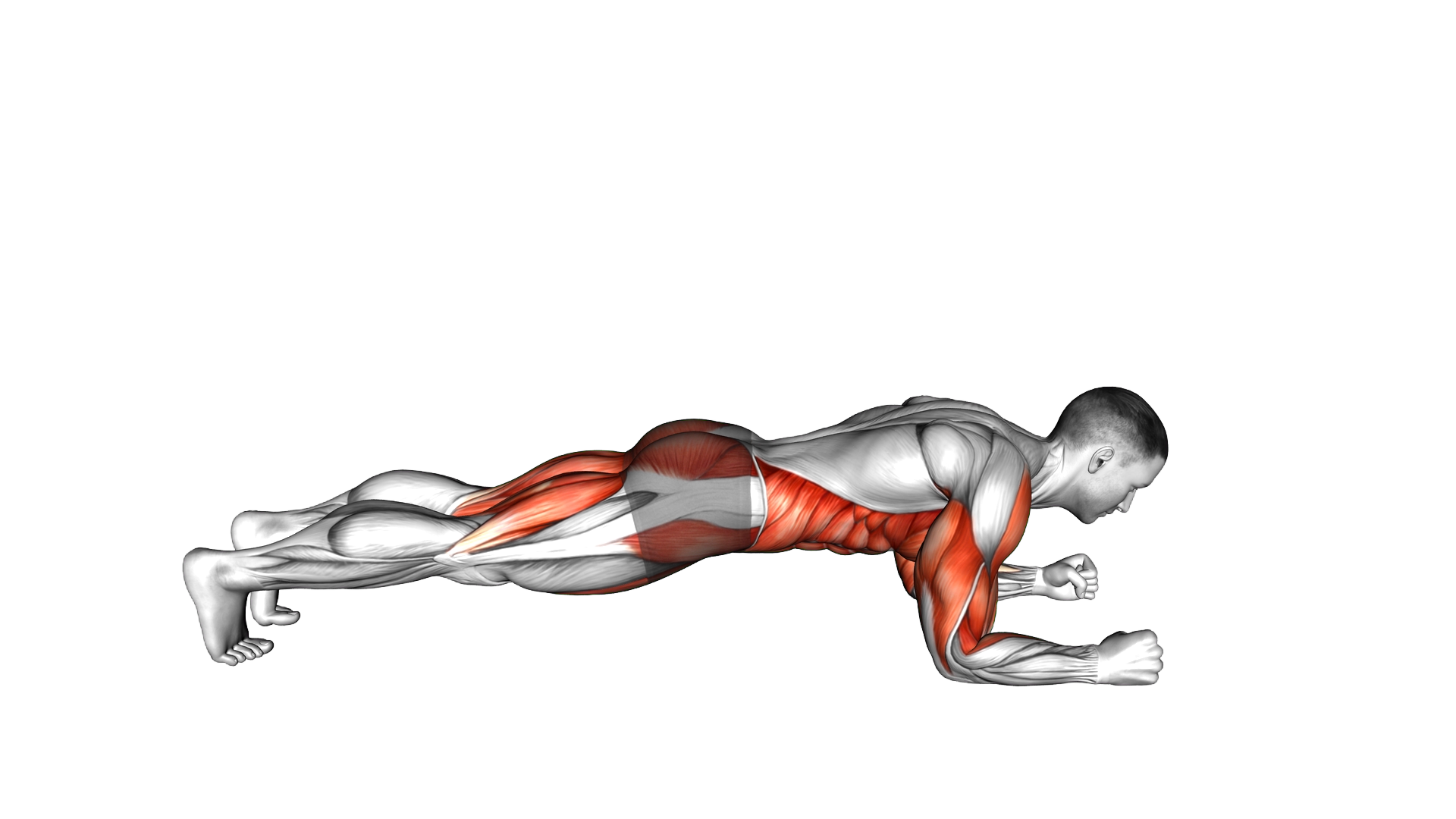 Explosive Dynamic Plank exercise demonstration