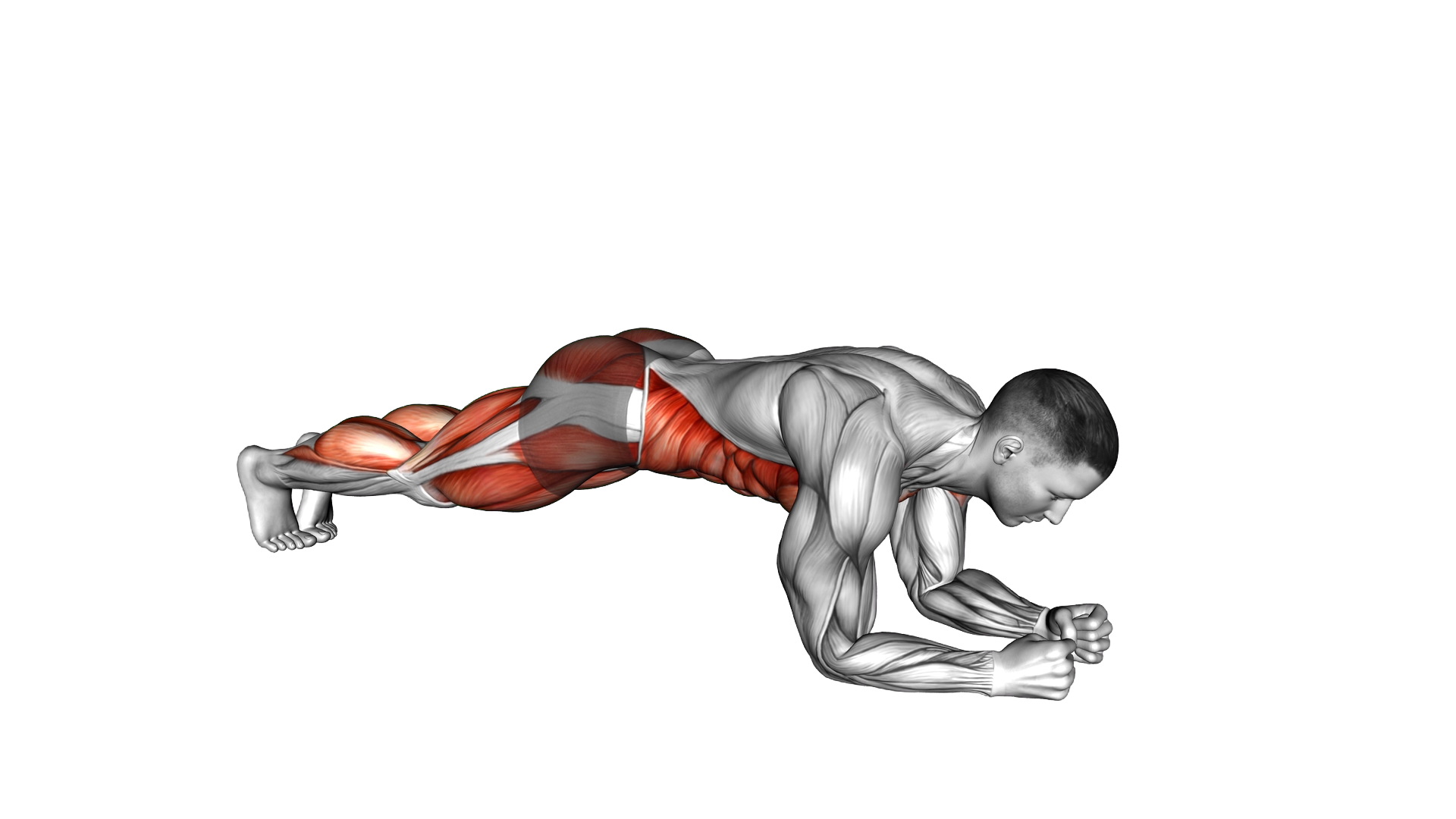 Elbow Plank 3 Point Hops exercise demonstration