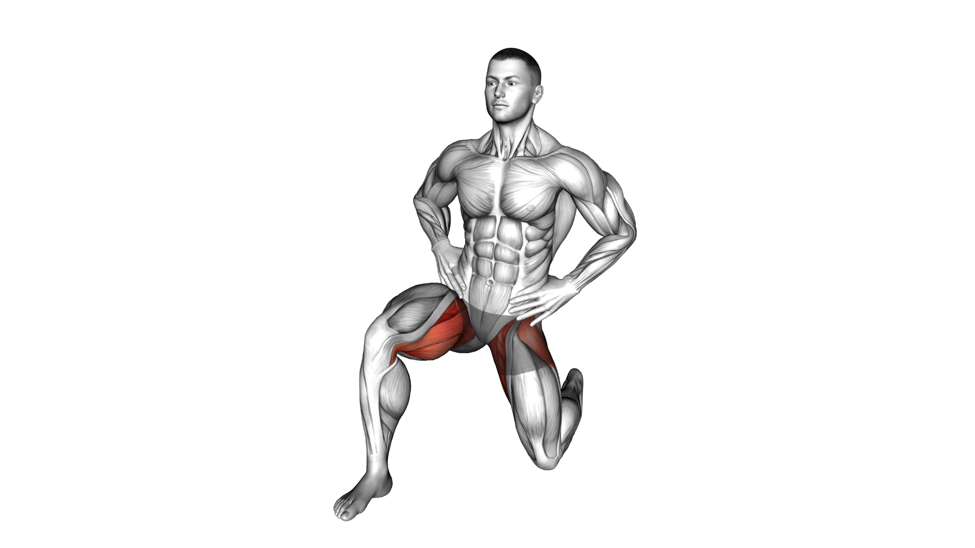 Kneeling Hip Flexor Transverse exercise thumbnail