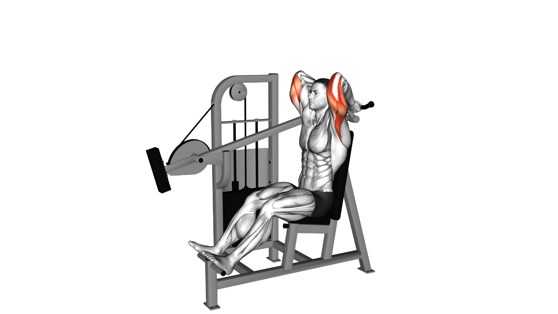 Lever Overhead Triceps Extension exercise demonstration