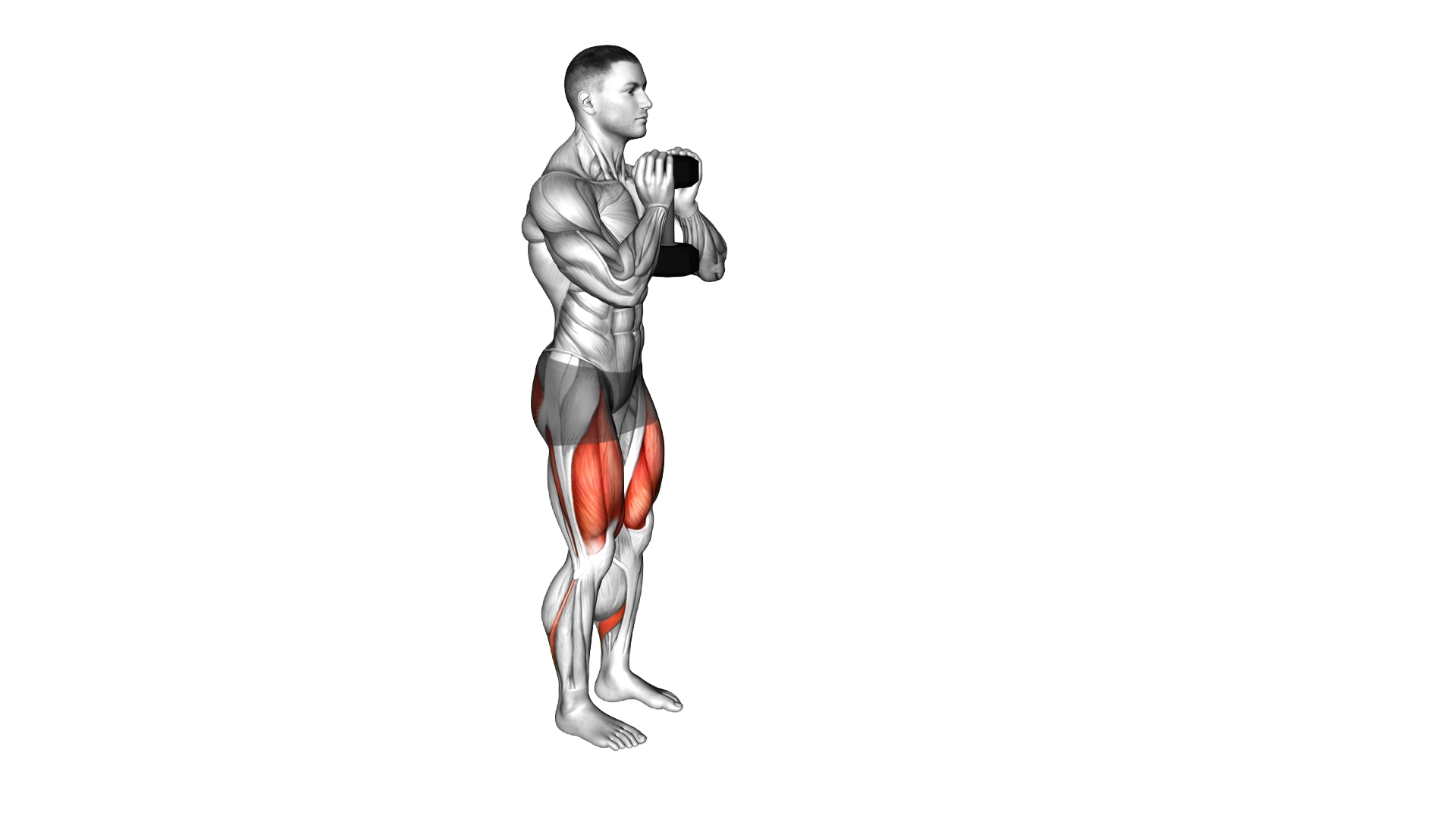 Dumbbell Goblet Lunge exercise demonstration