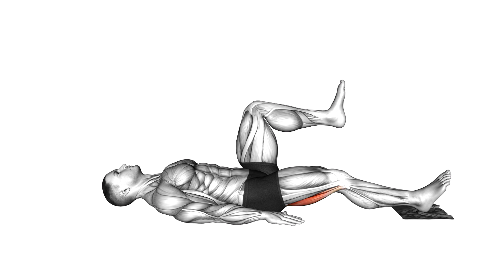 Ring Eccentric Single Leg Curl with towel exercise demonstration